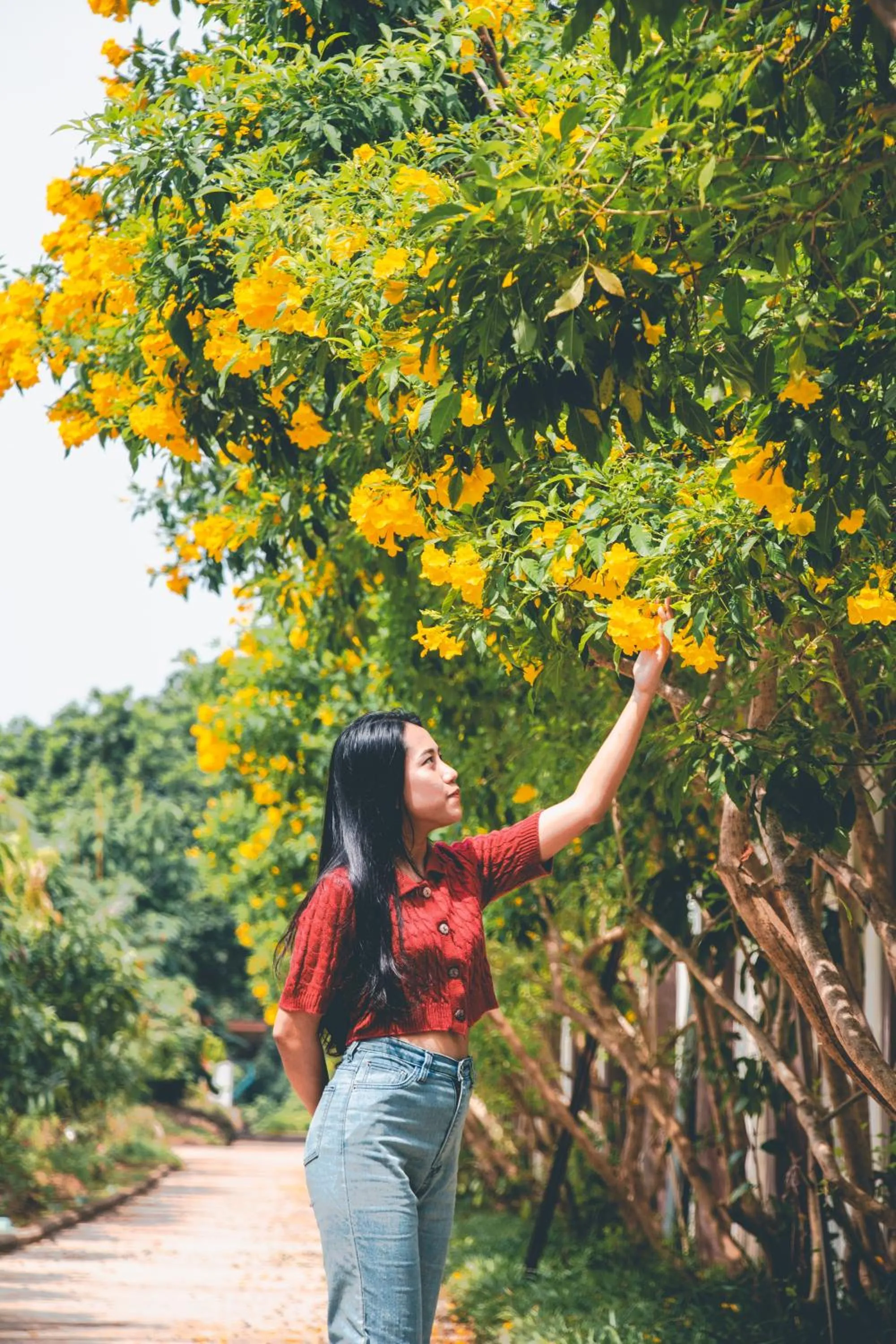 Spring in Victoria Cliff Hotel & Resort, Kawthaung