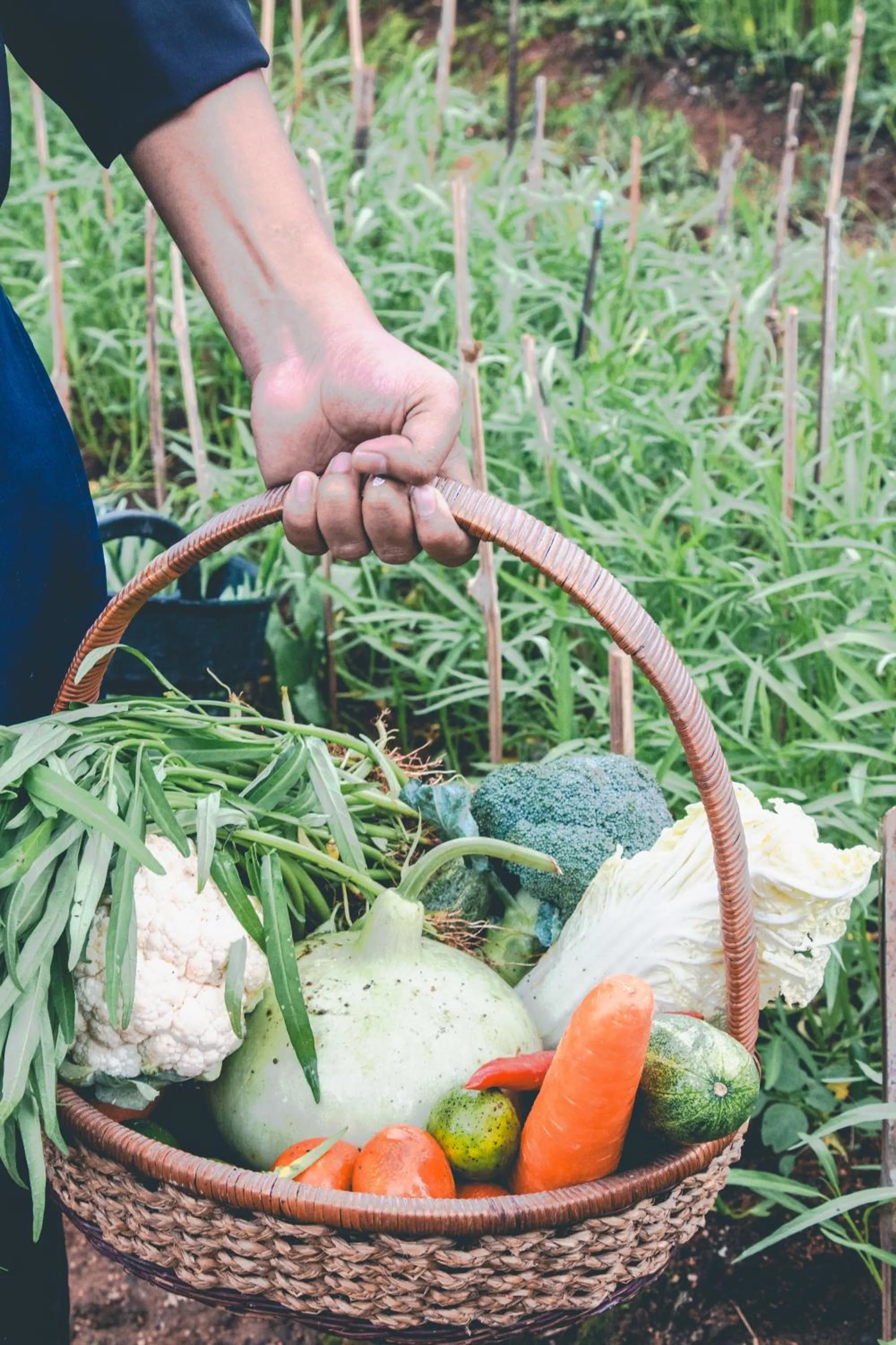 Spring in Victoria Cliff Hotel & Resort, Kawthaung