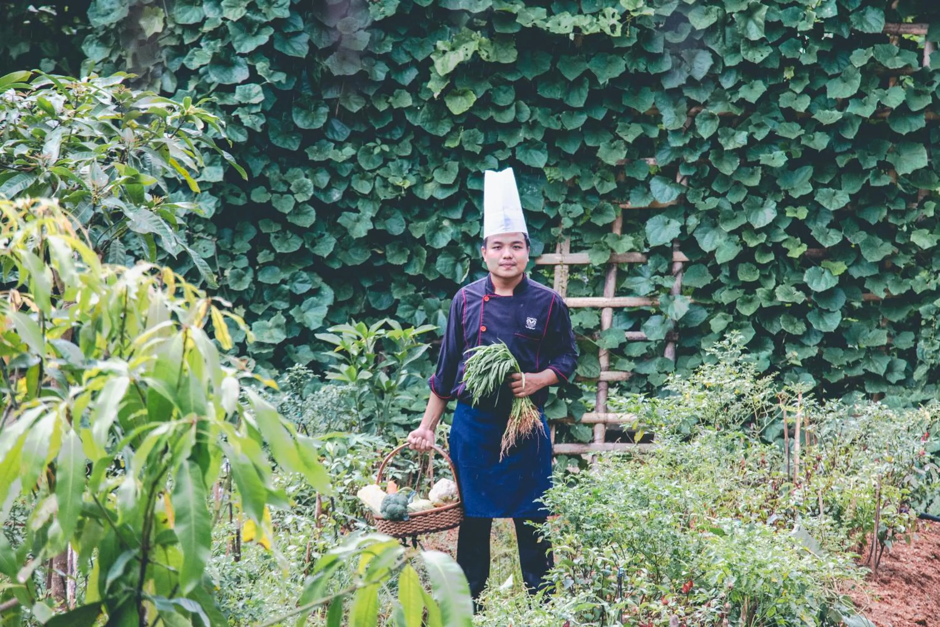 Spring in Victoria Cliff Hotel & Resort, Kawthaung