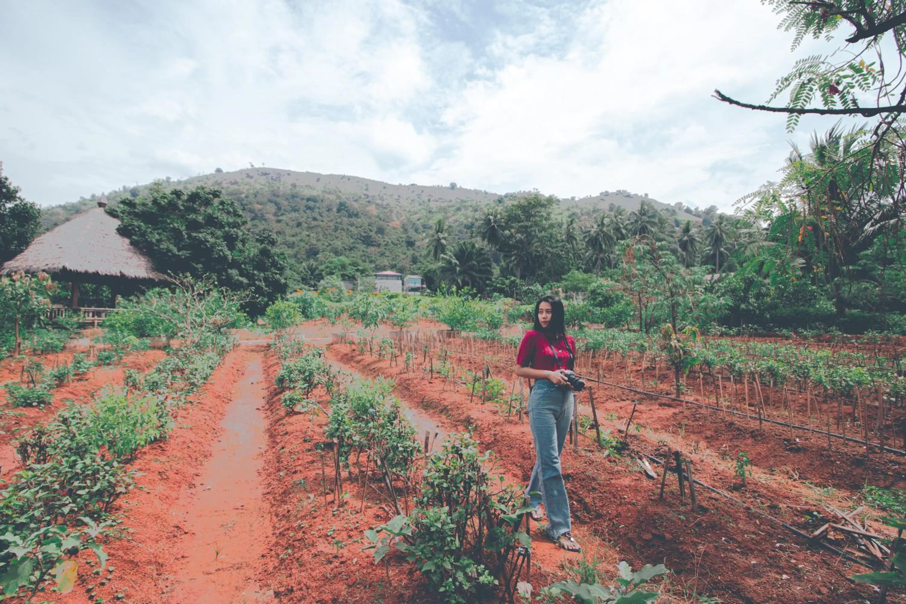 Day in Victoria Cliff Hotel & Resort, Kawthaung