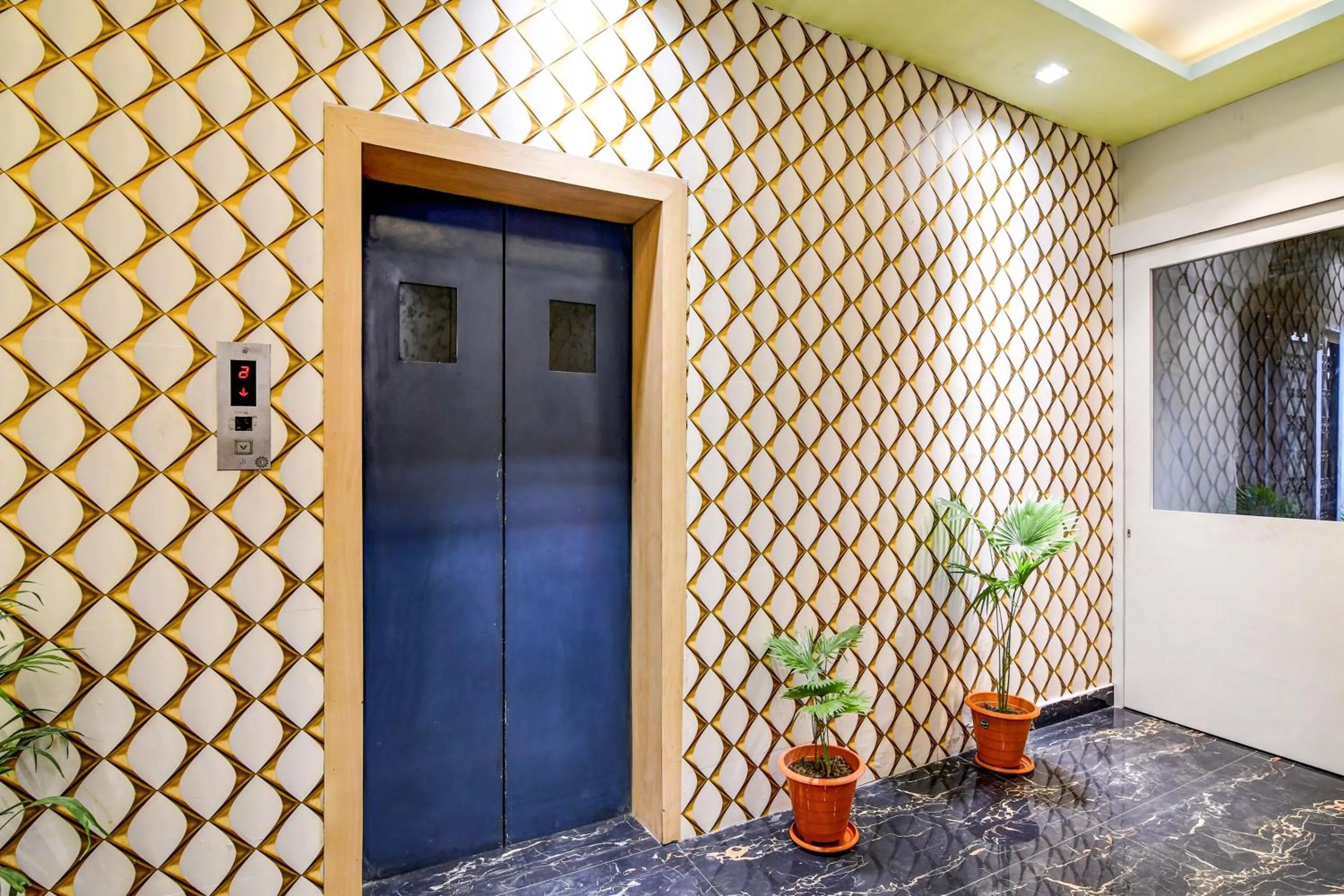 Other in Collection O The Hastings Club