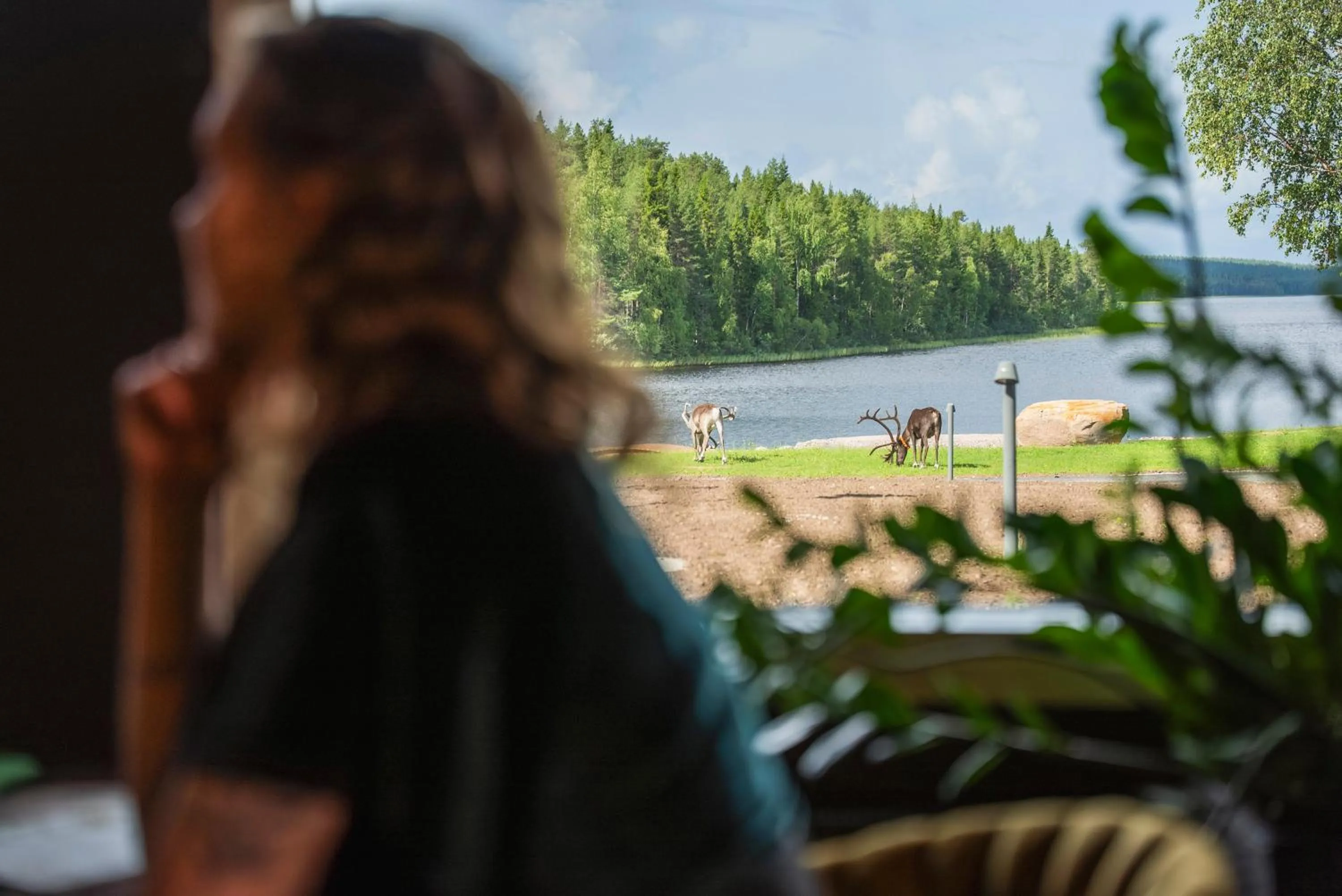 Restaurant/places to eat in Aito Igloo & Spa Resort