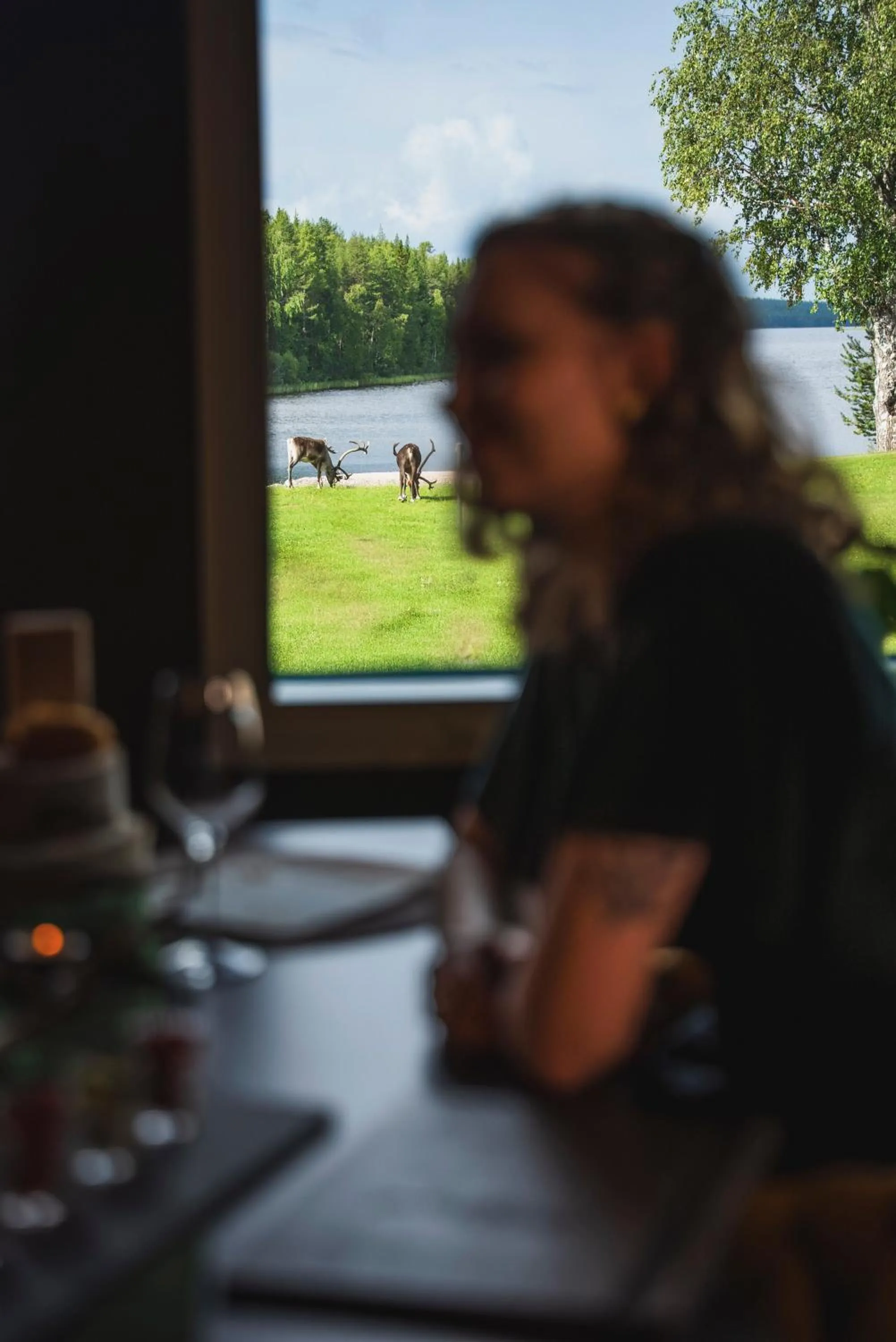 Restaurant/places to eat in Aito Igloo & Spa Resort