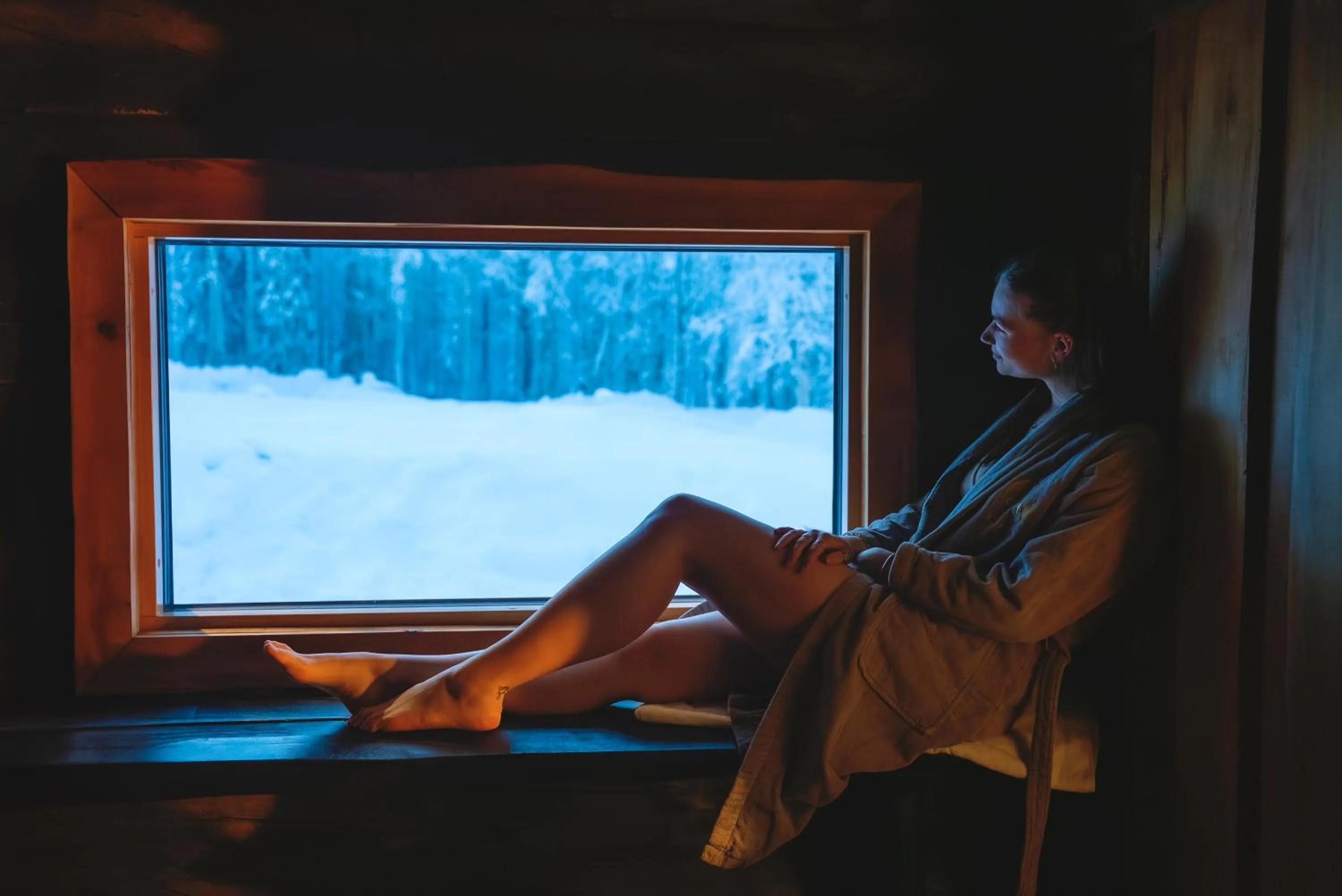 Sauna in Aito Igloo & Spa Resort