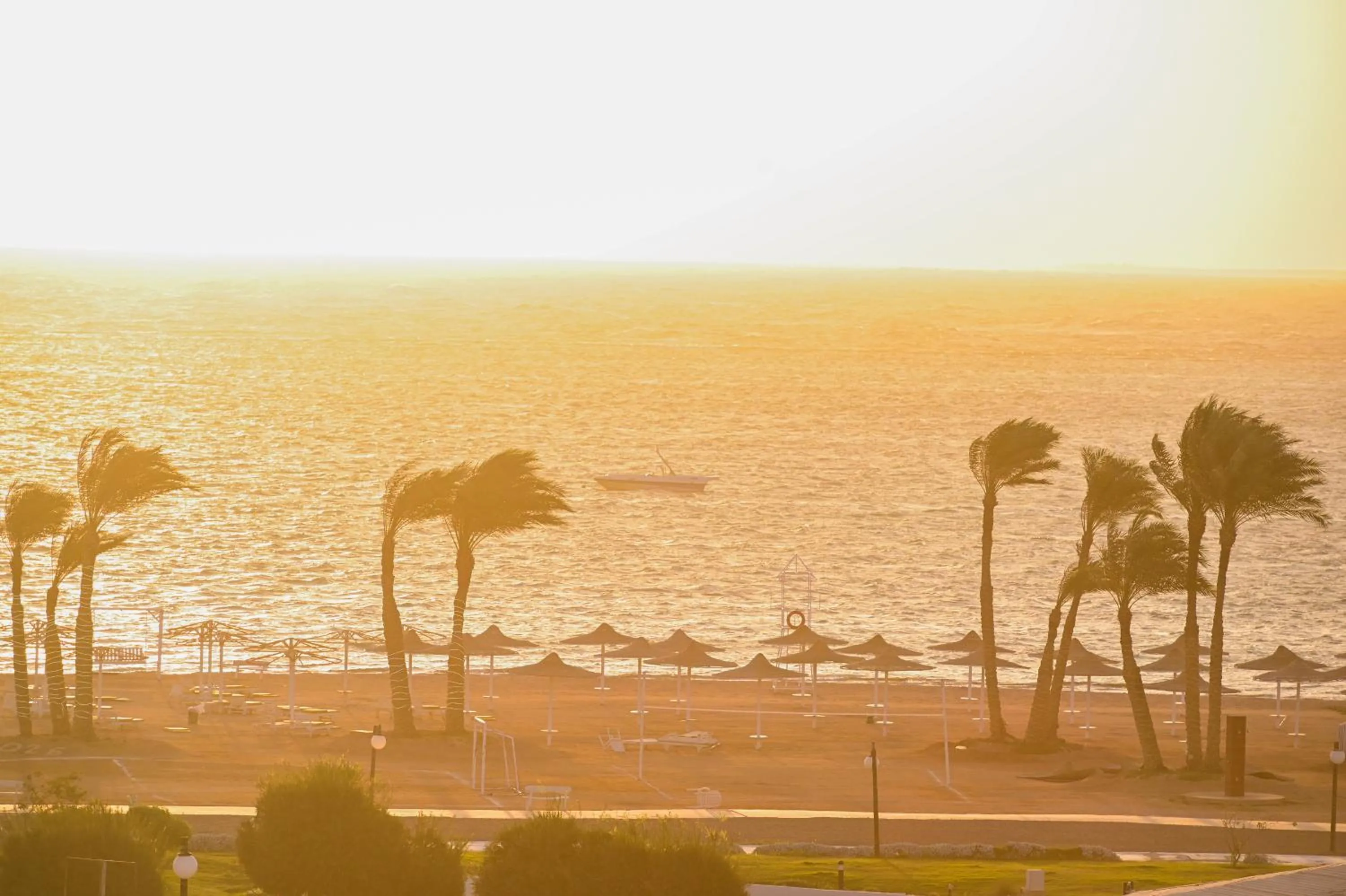 Beach in Amarina Sun Resort & Aqua Park Sharm El-Sheikh