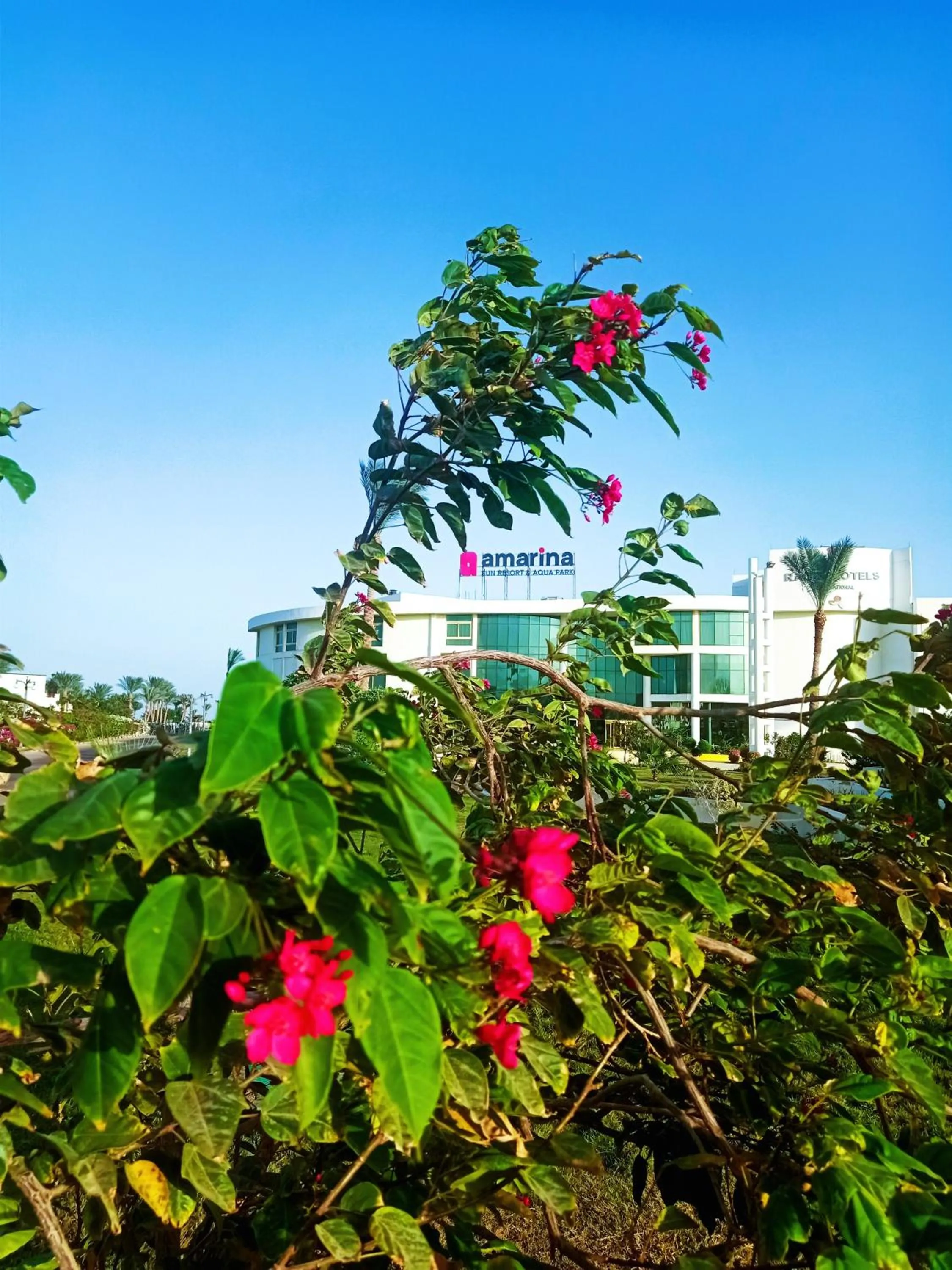 Facade/entrance in Amarina Sun Resort & Aqua Park Sharm El-Sheikh