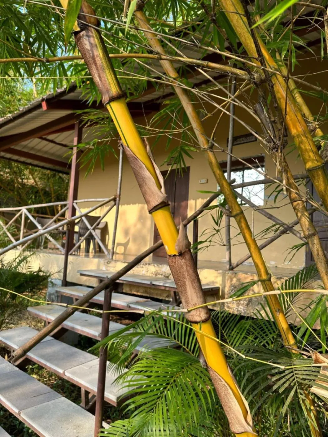 Seating area in Aranya Phansad Resort