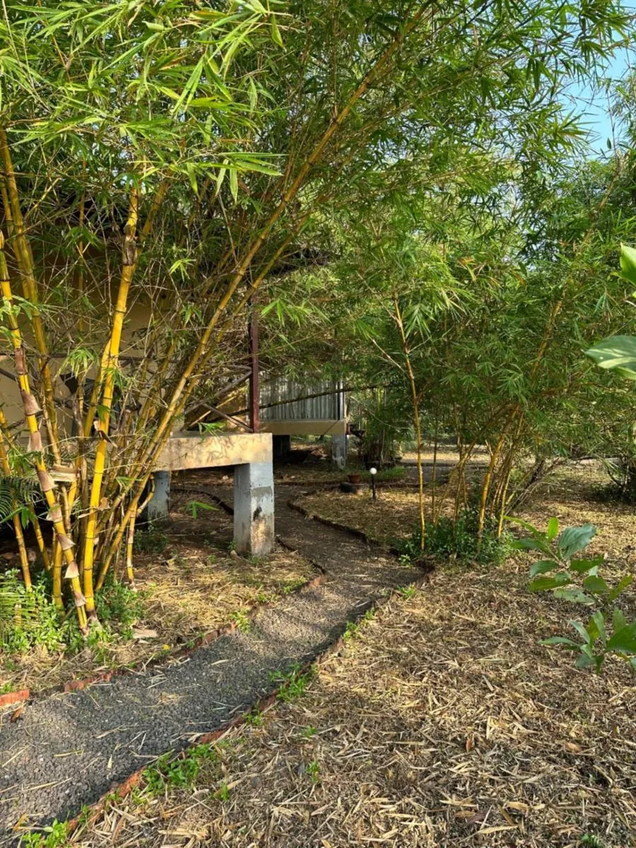 View (from property/room) in Aranya Phansad Resort