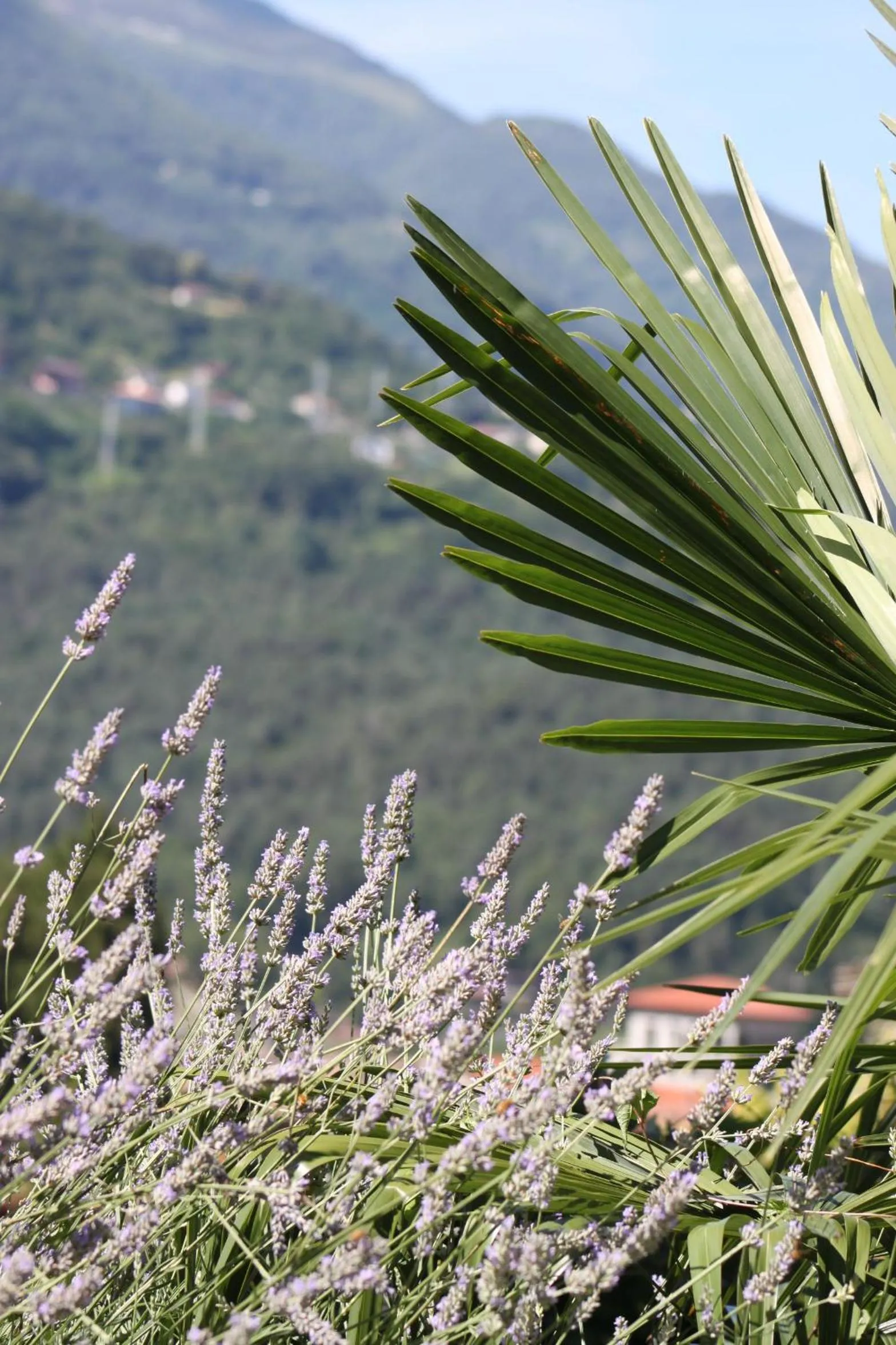 Day in Balcone Fiorito