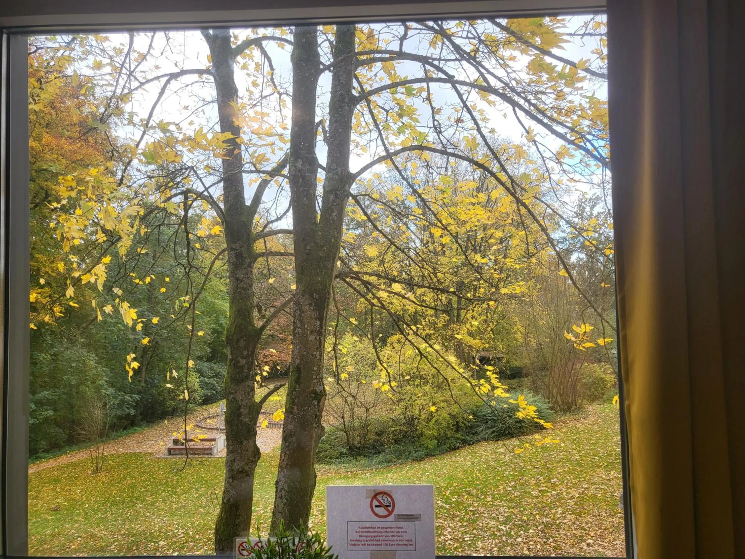 Garden view in Hotel Mettmann