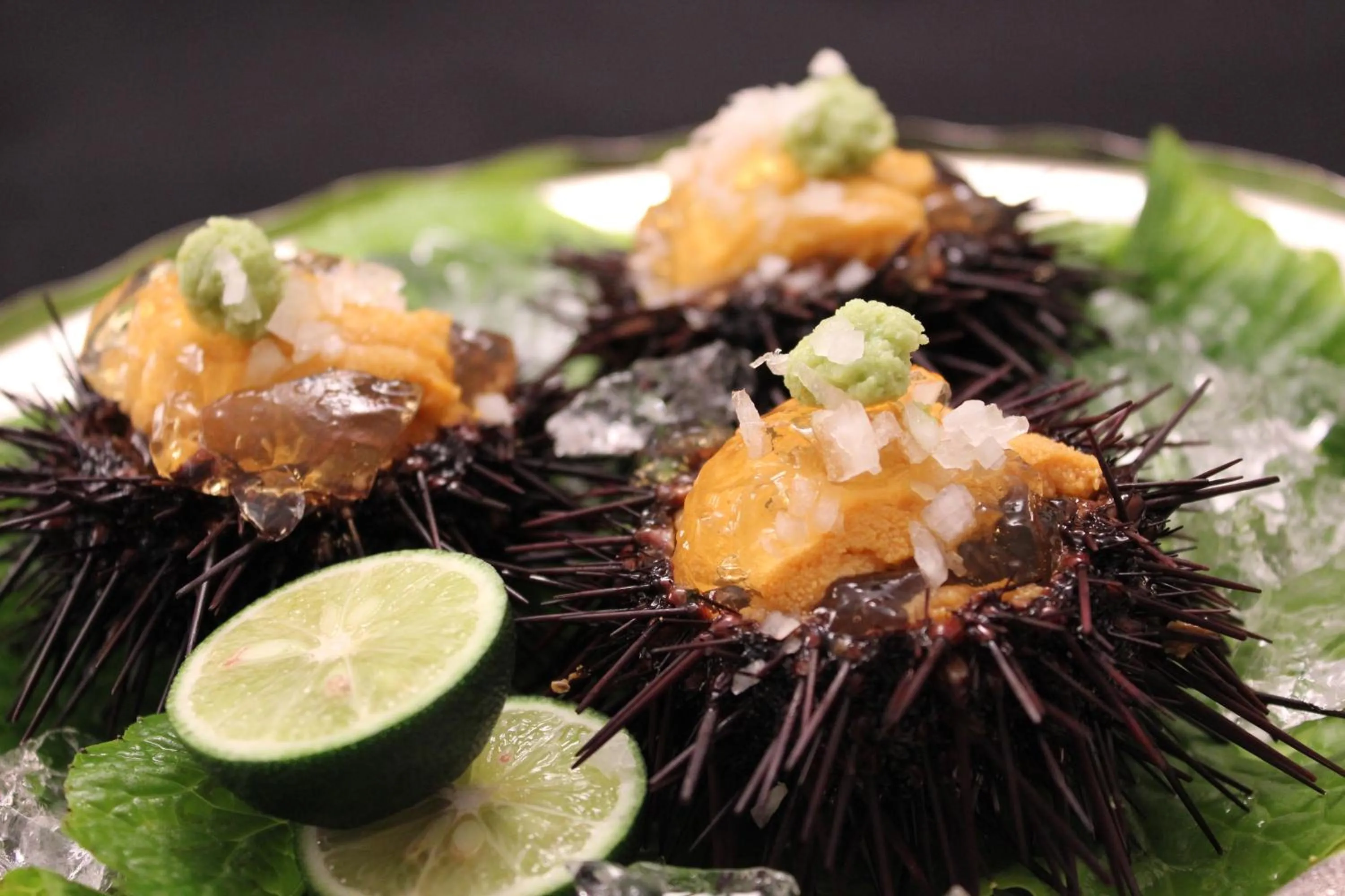 Food close-up in Saryo Souen