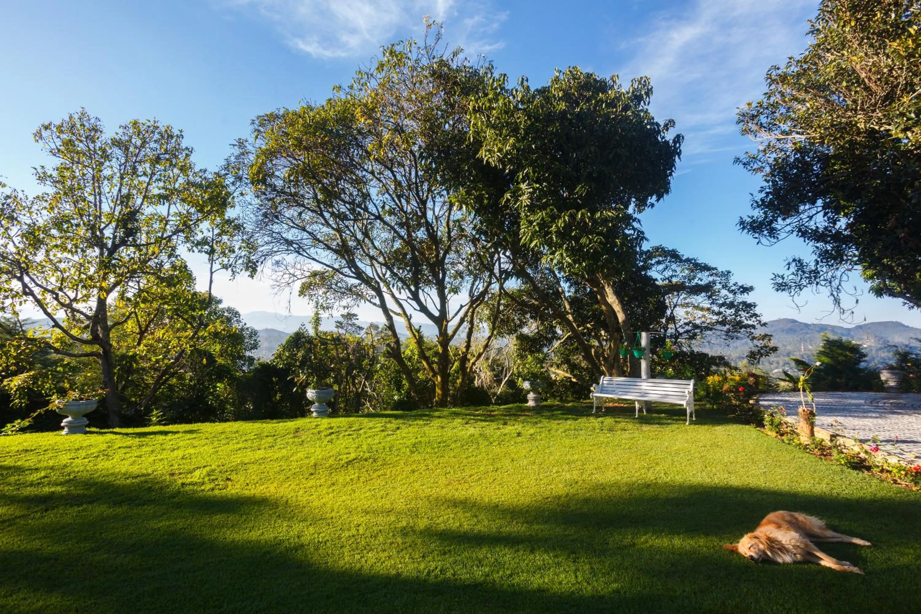 Garden in Dutch House Bandarawela