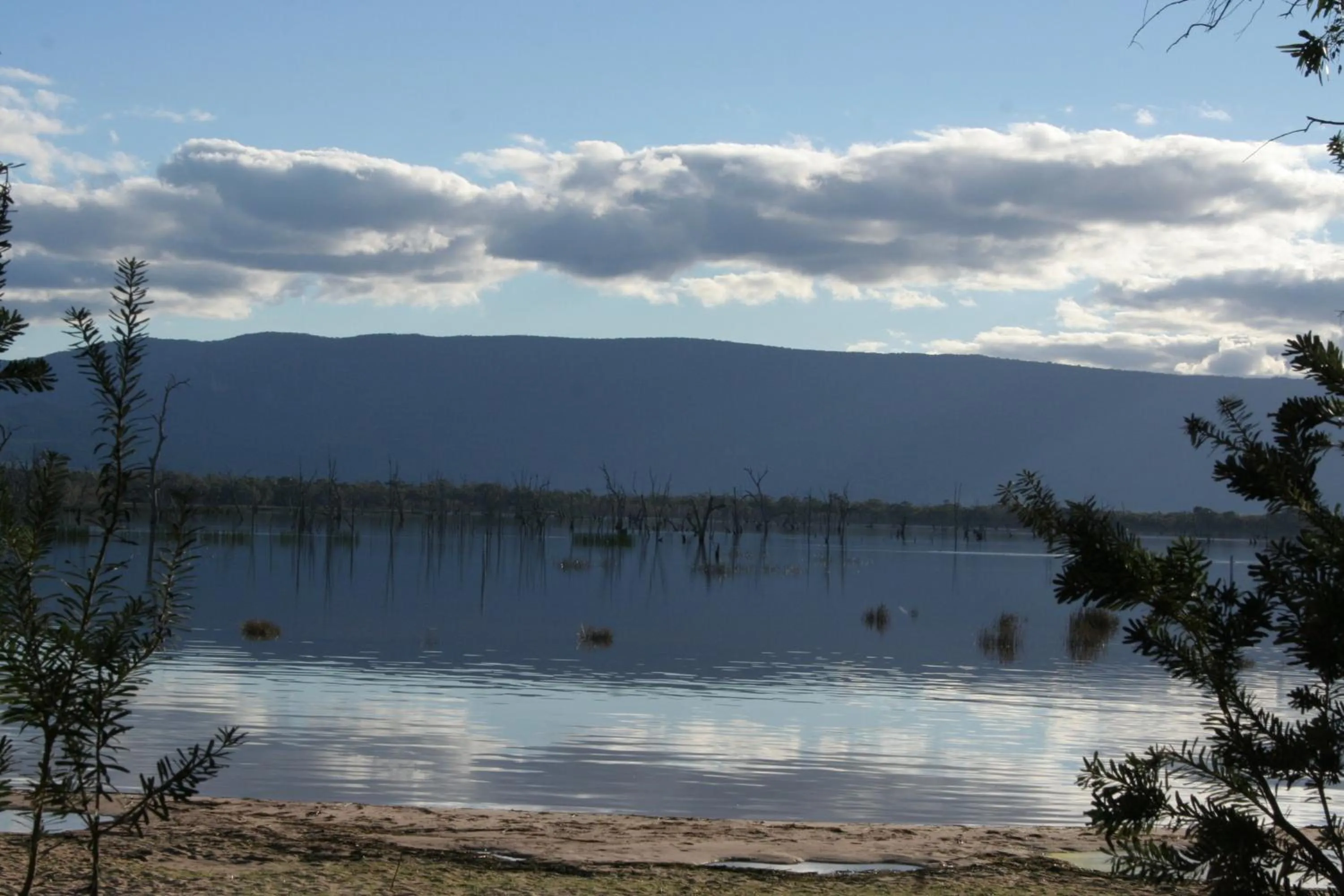 Natural landscape in Lake Fyans Holiday Park