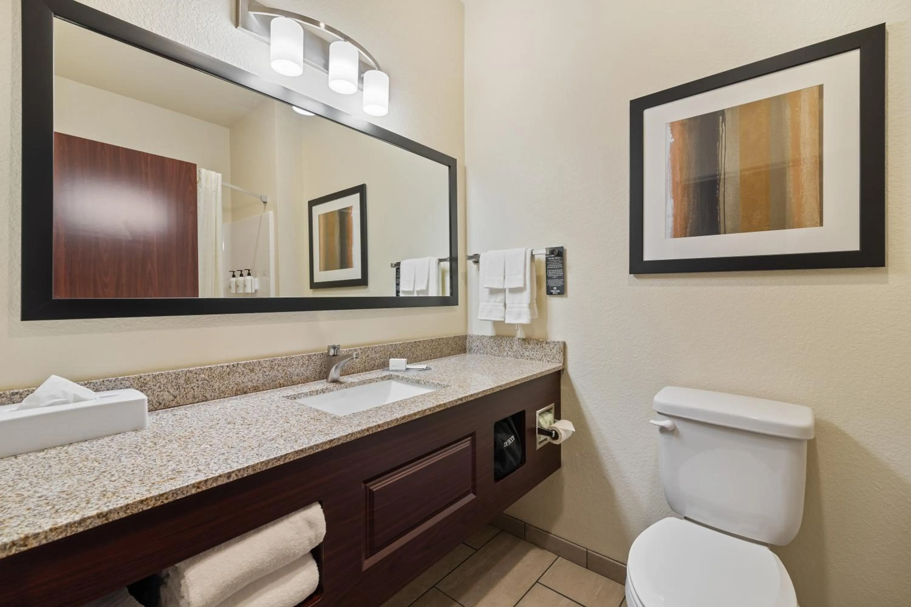 Bathroom in Cobblestone Hotel & Suites - Alpine