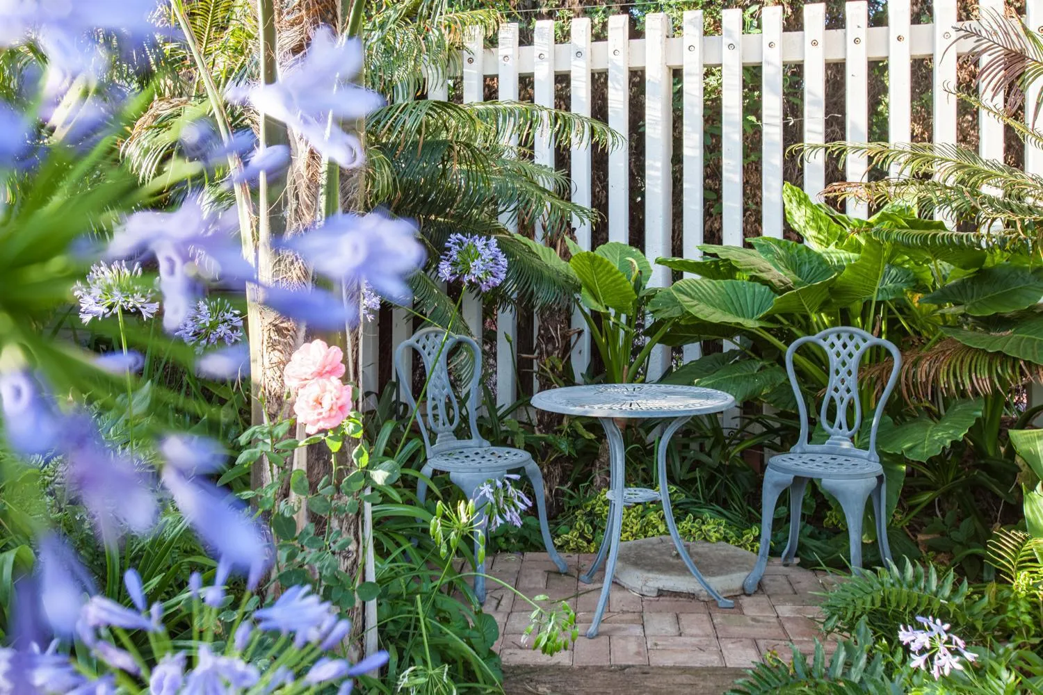 Garden in Touraco Guesthouse