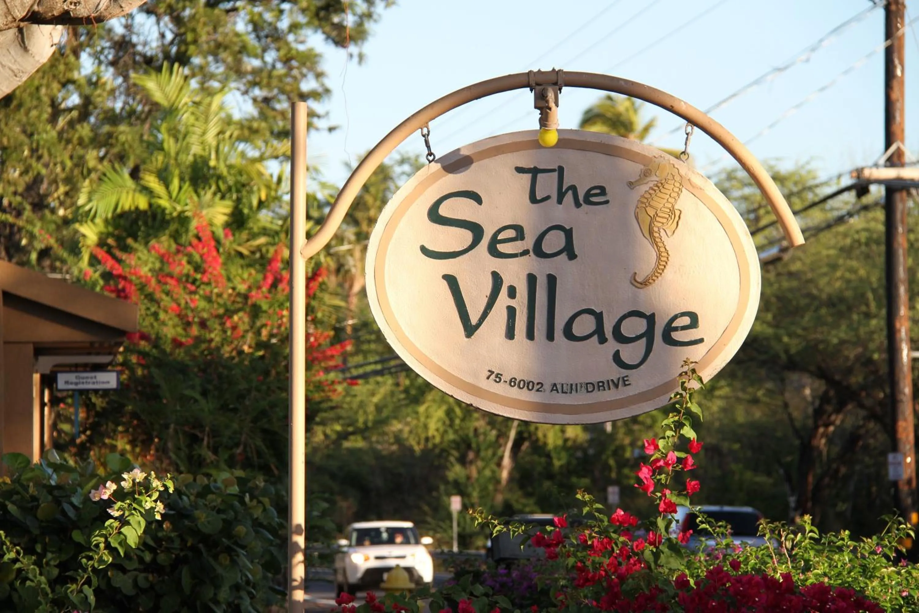 Logo/Certificate/Sign in Sea Village