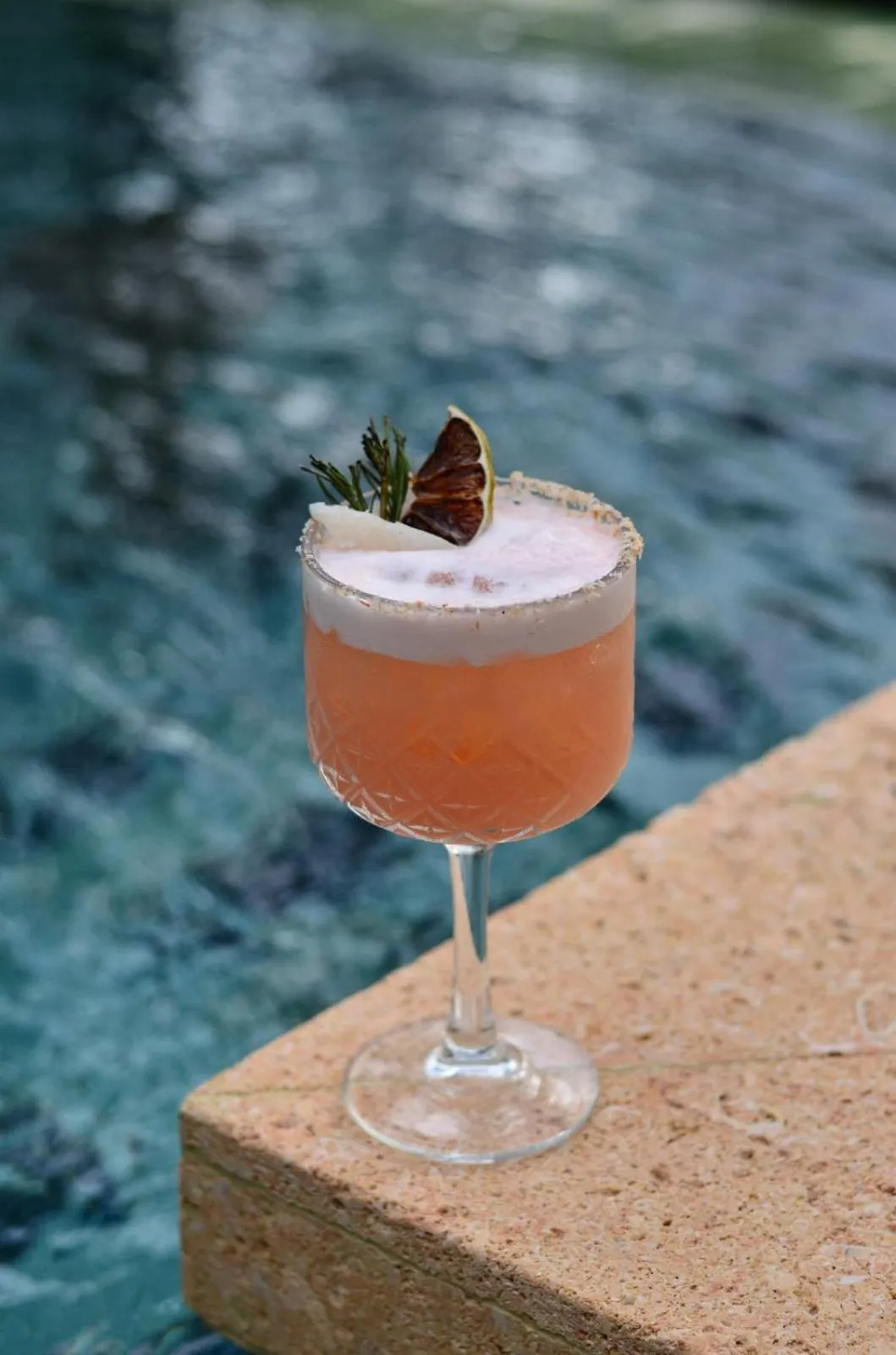 Lounge or bar in Palo Alto Glamping Hotel