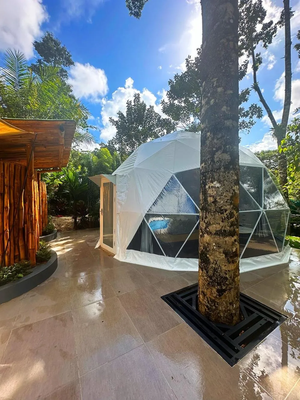 Balcony/Terrace in Palo Alto Glamping Hotel