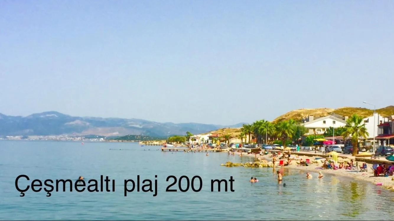 Beach in Hotel Barba