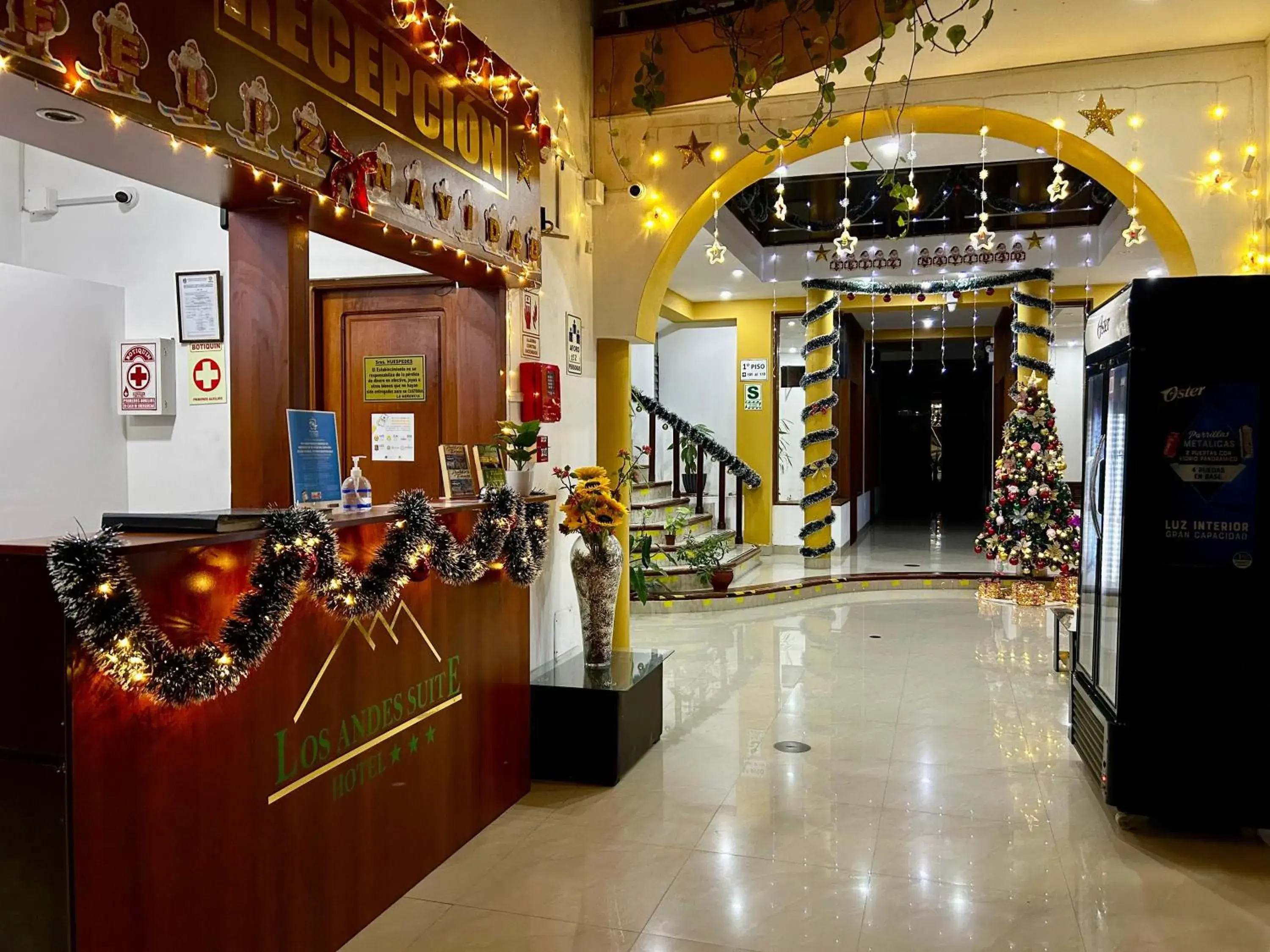 HOTEL LOS ANDES SUITE HOTEL LOS ANDES SUITE