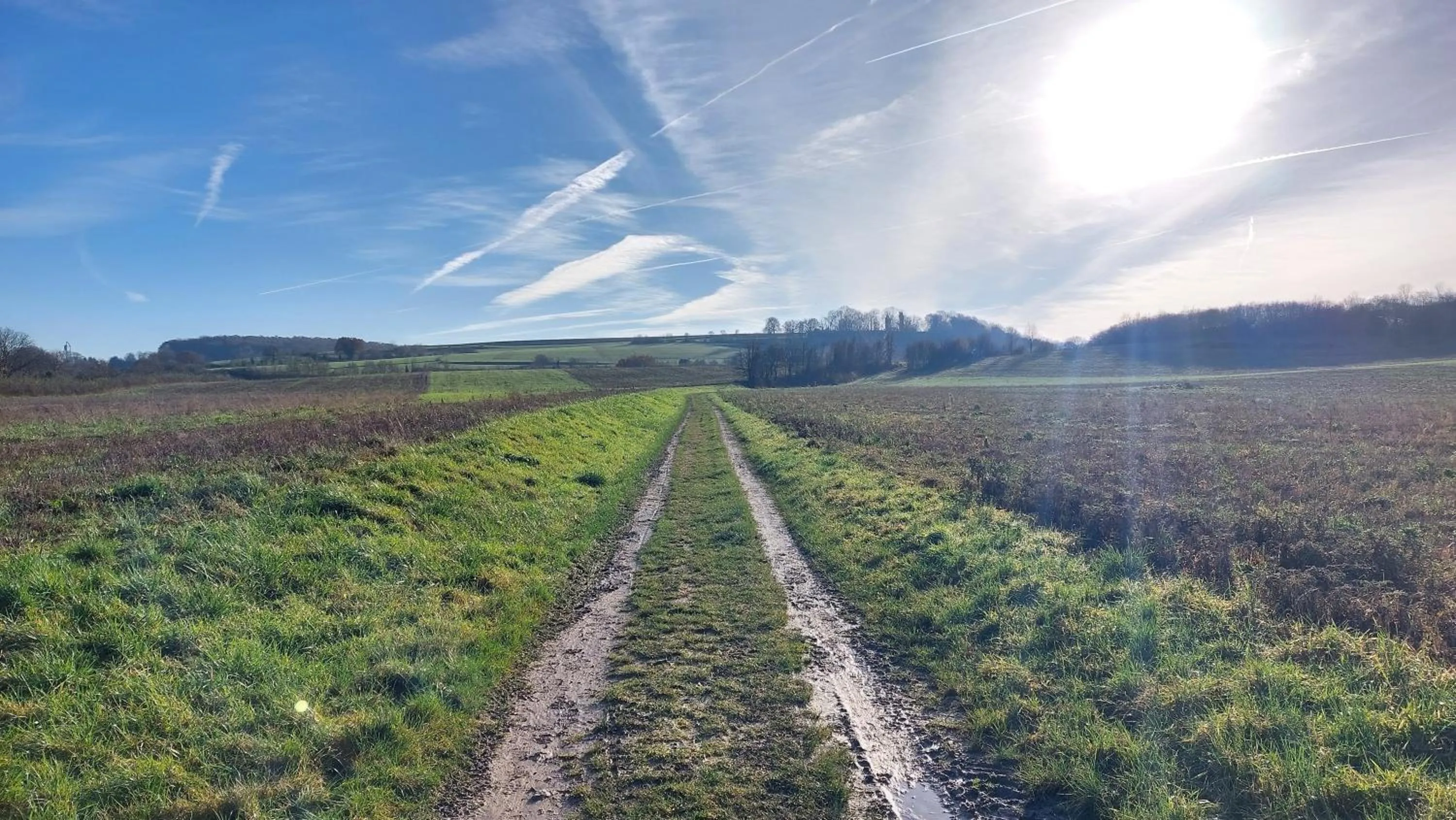 Bed & Breakfast Hotel Het Gerendal