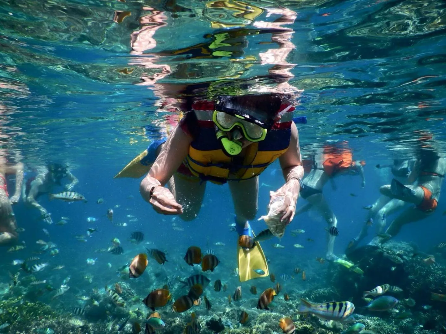 Snorkeling in Creative Trawangan Stay