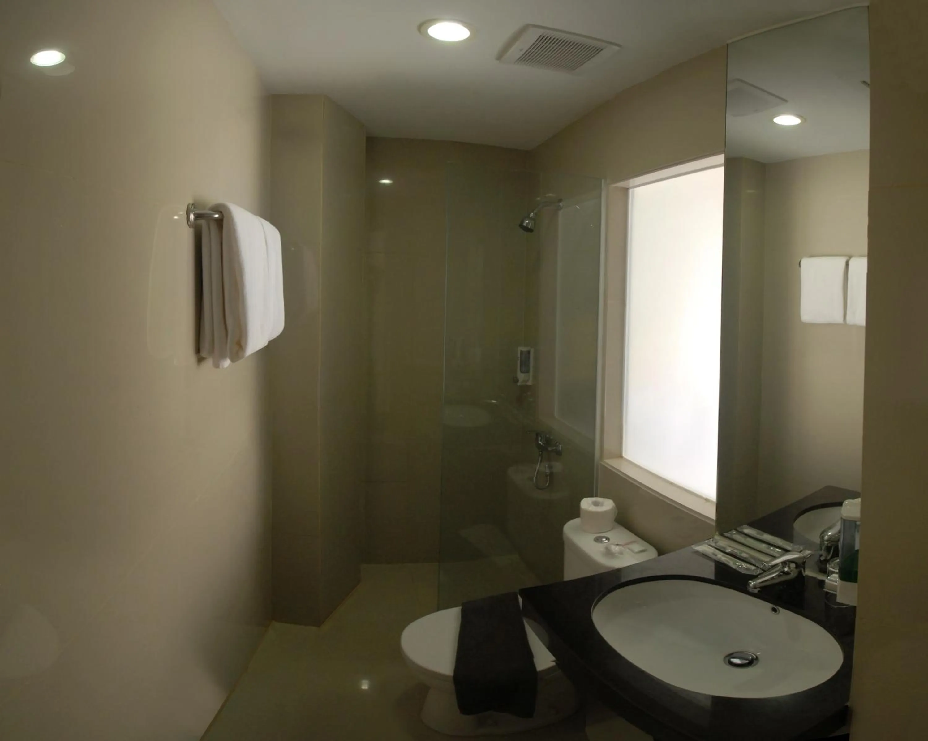 Bathroom in Vio Veteran