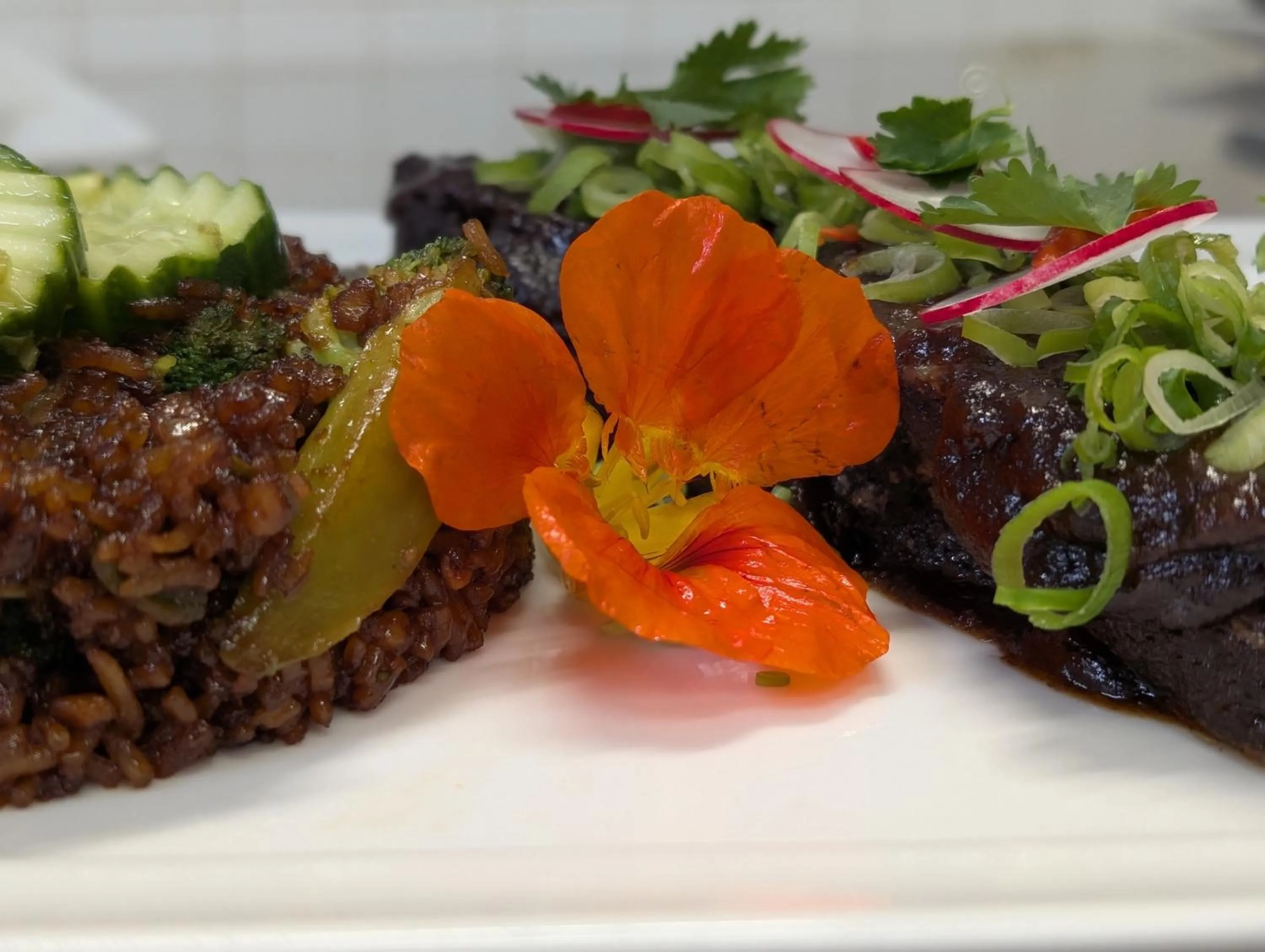 Restaurant/places to eat in Hotel Am Fleesensee