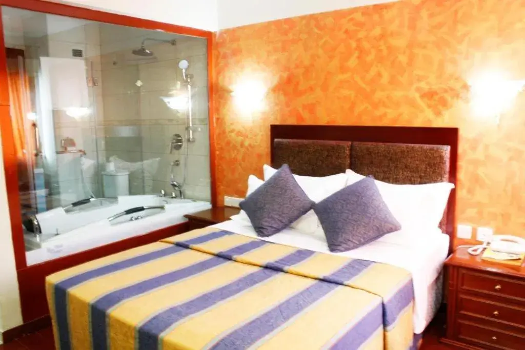 Deluxe Double Room - single occupancy in New Mwanza Hotel Deluxe Double Room - single occupancy in New Mwanza Hotel