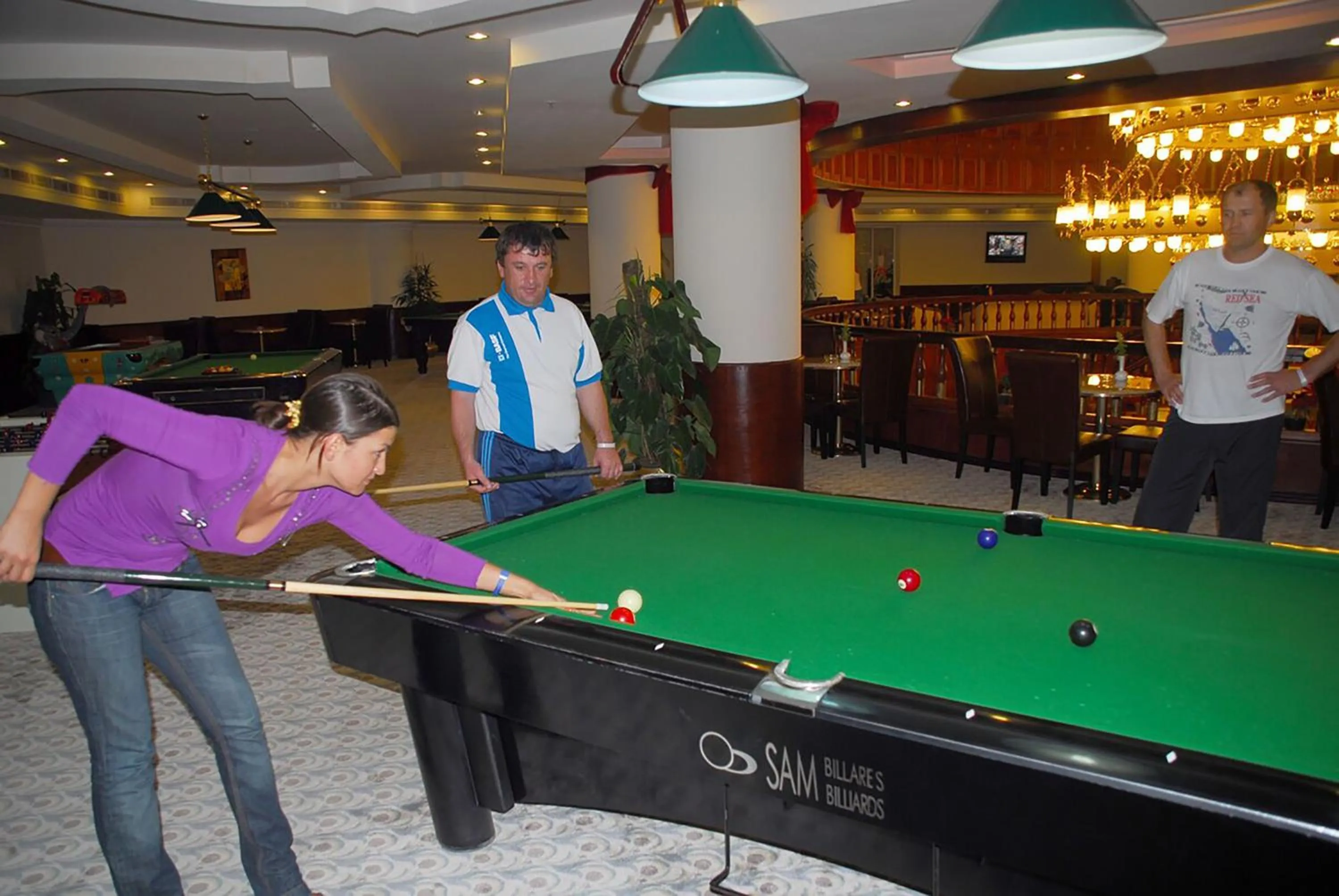 Billiard in White Valley Palace
