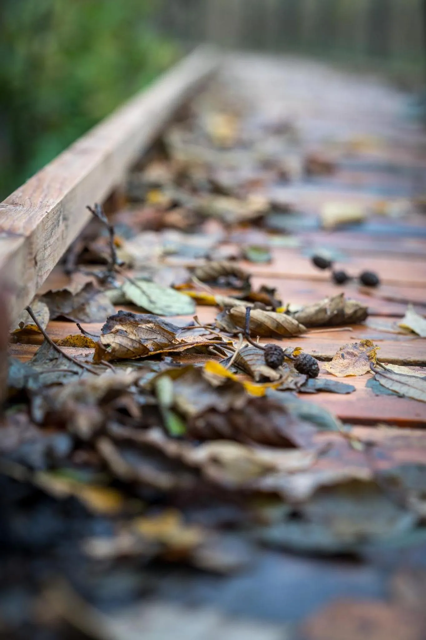 Frederiksværk Hotel