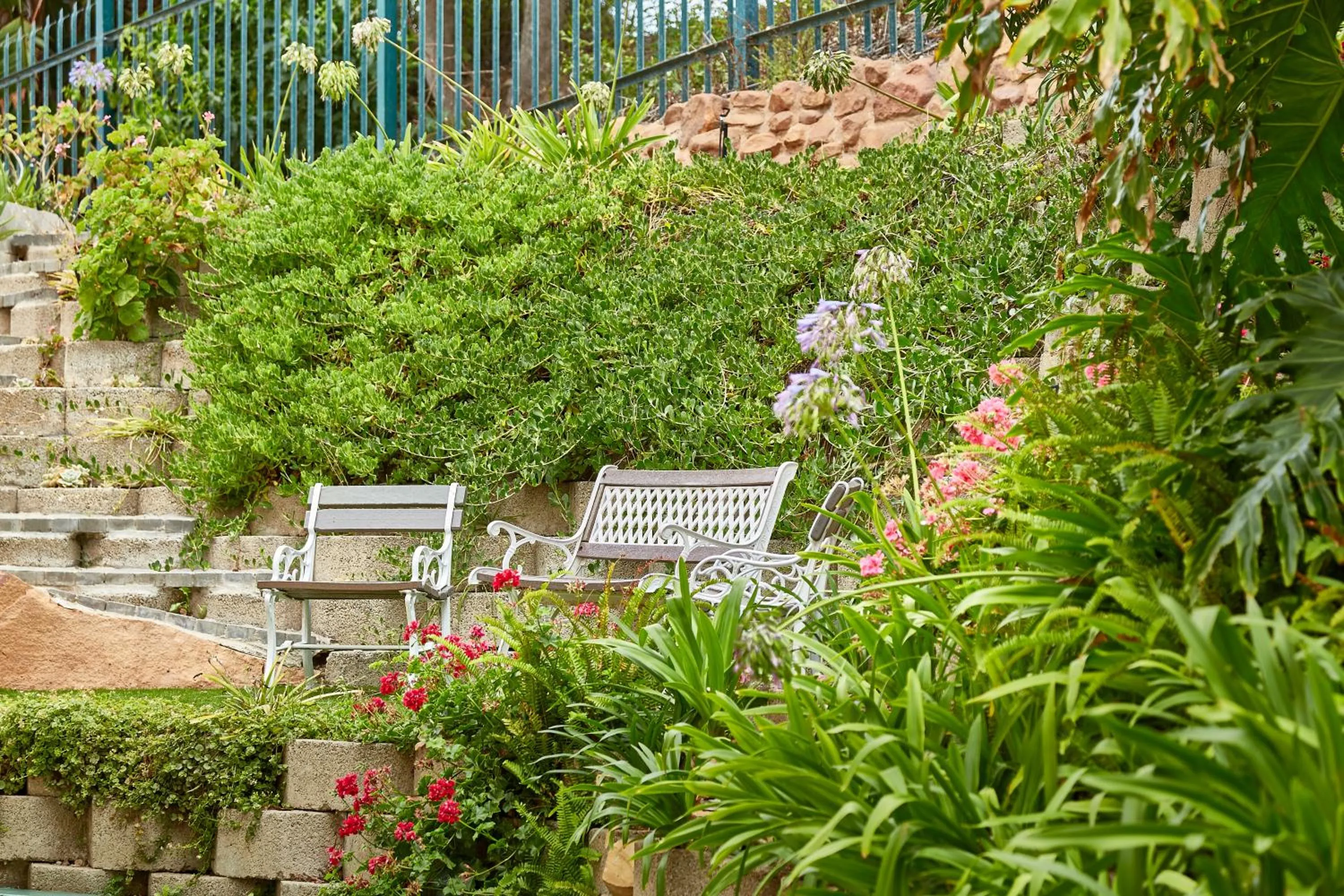 Garden in First Group Perna Perna Mossel Bay