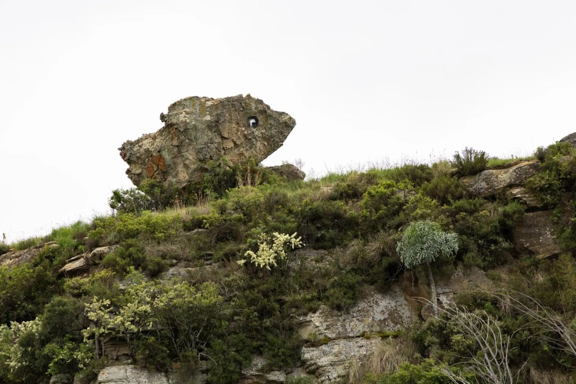 Natural landscape in First Group Qwantani