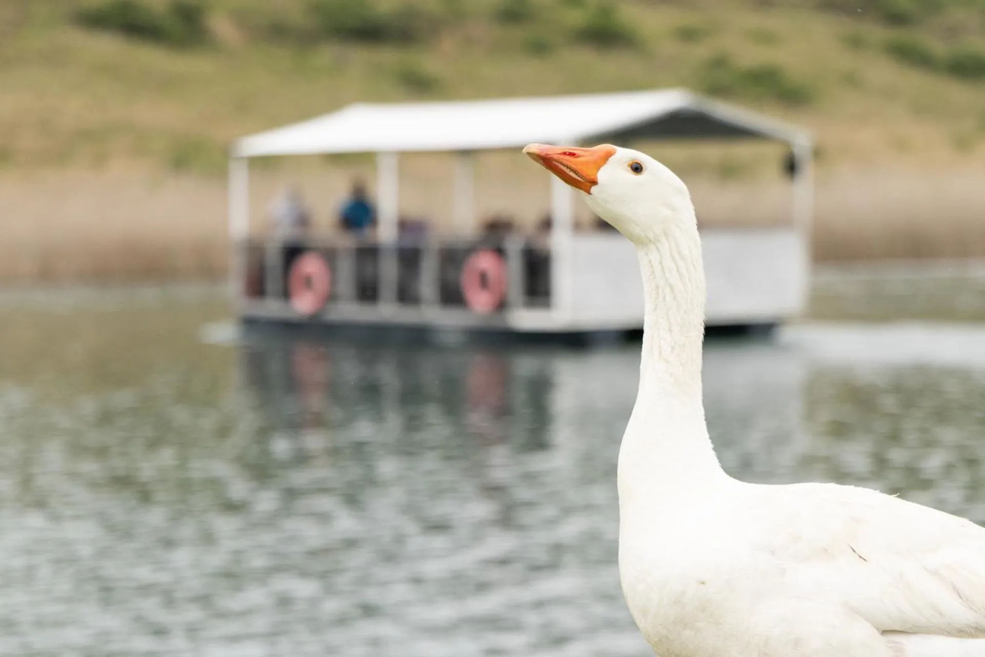 River view in First Group Qwantani
