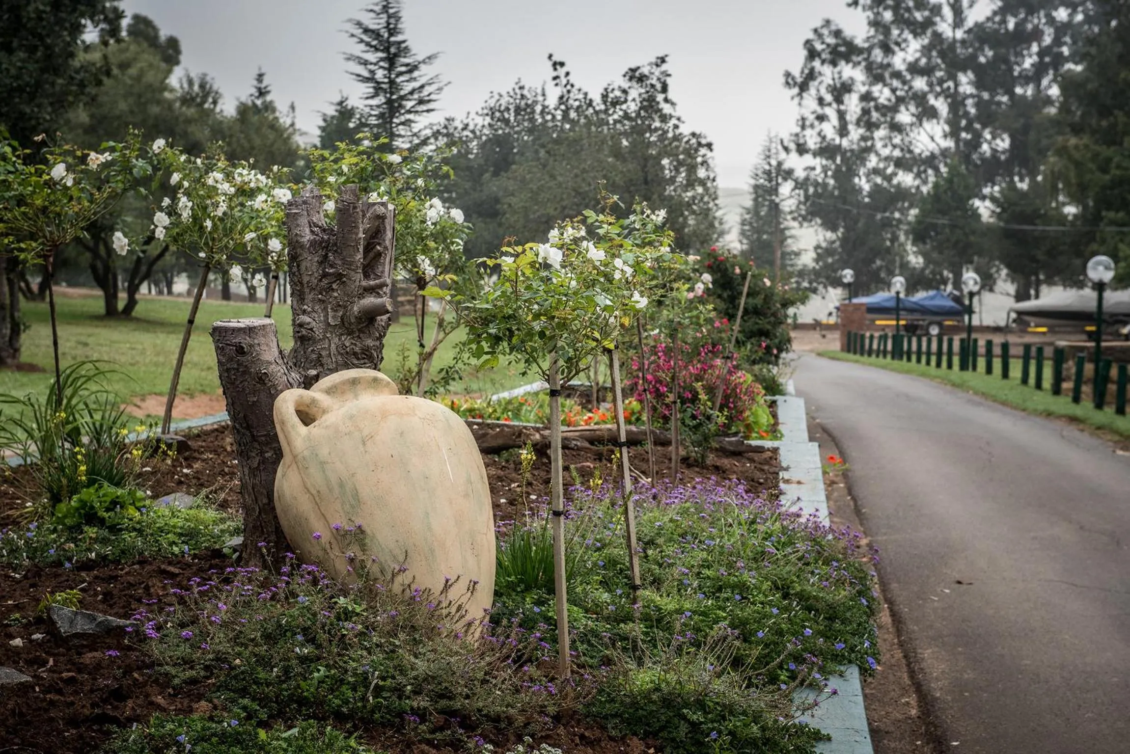 Garden in First Group Qwantani