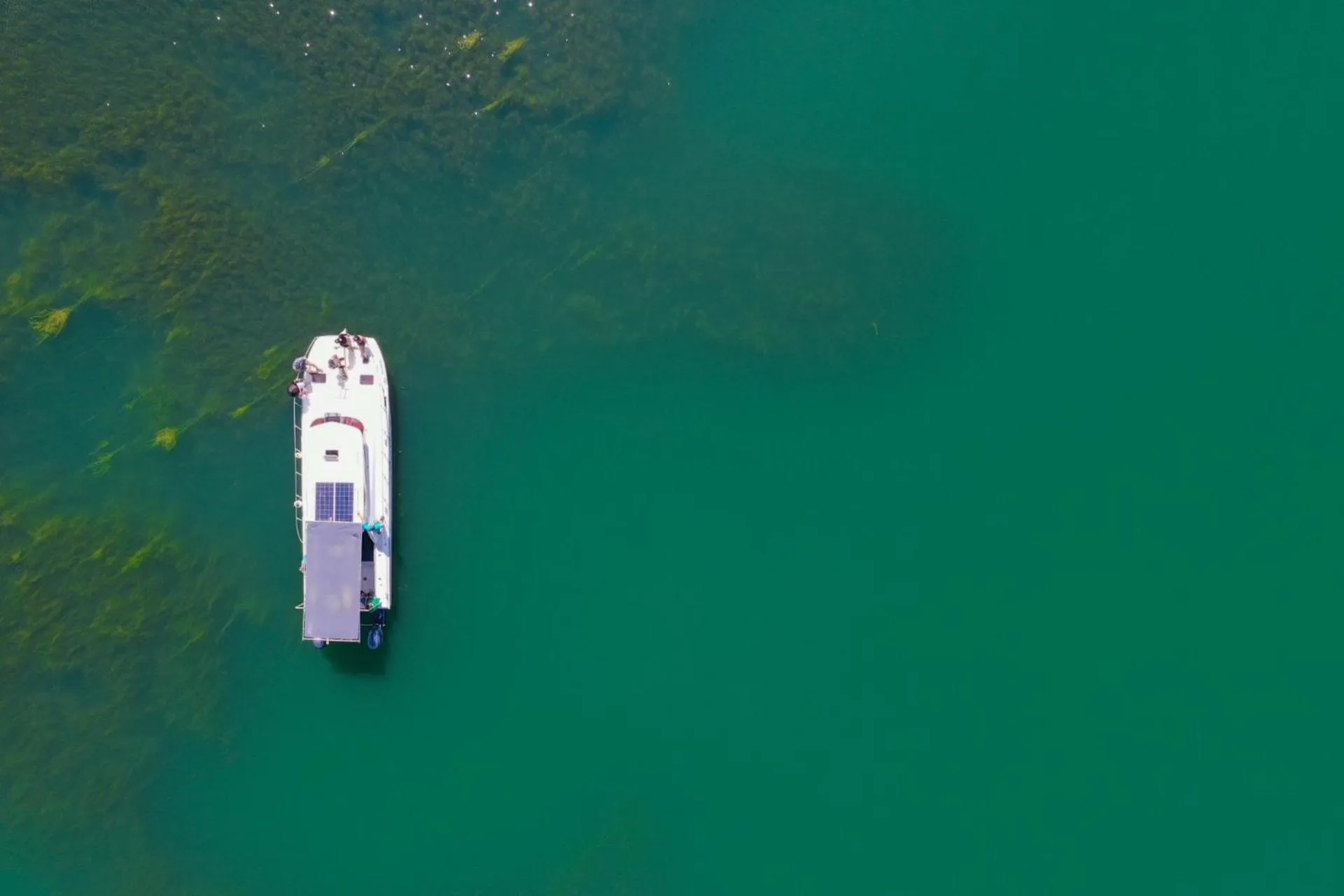 Activities in First Group Qwantani