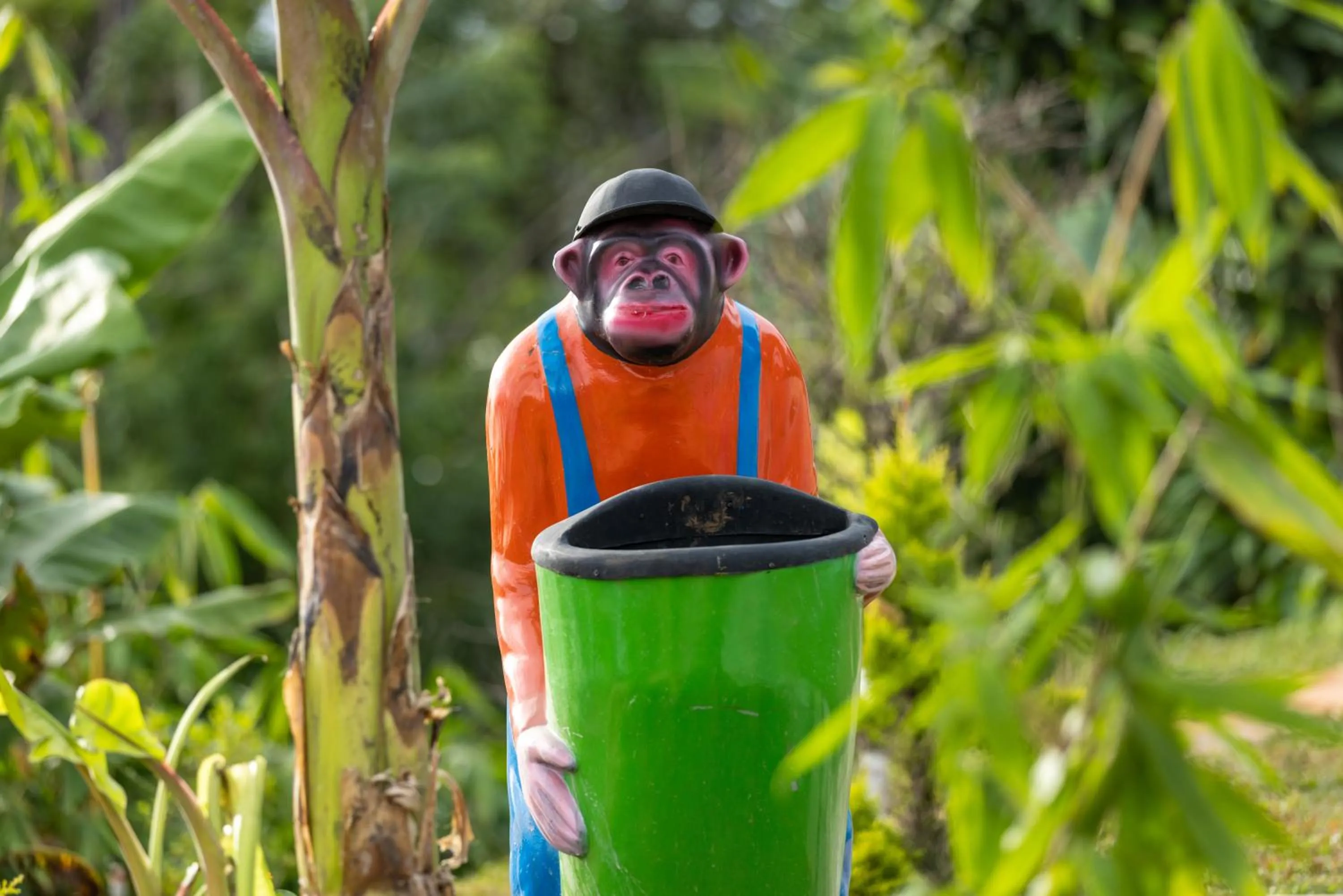 Day in Le Serene Munnar Luxury Resorts & Spa