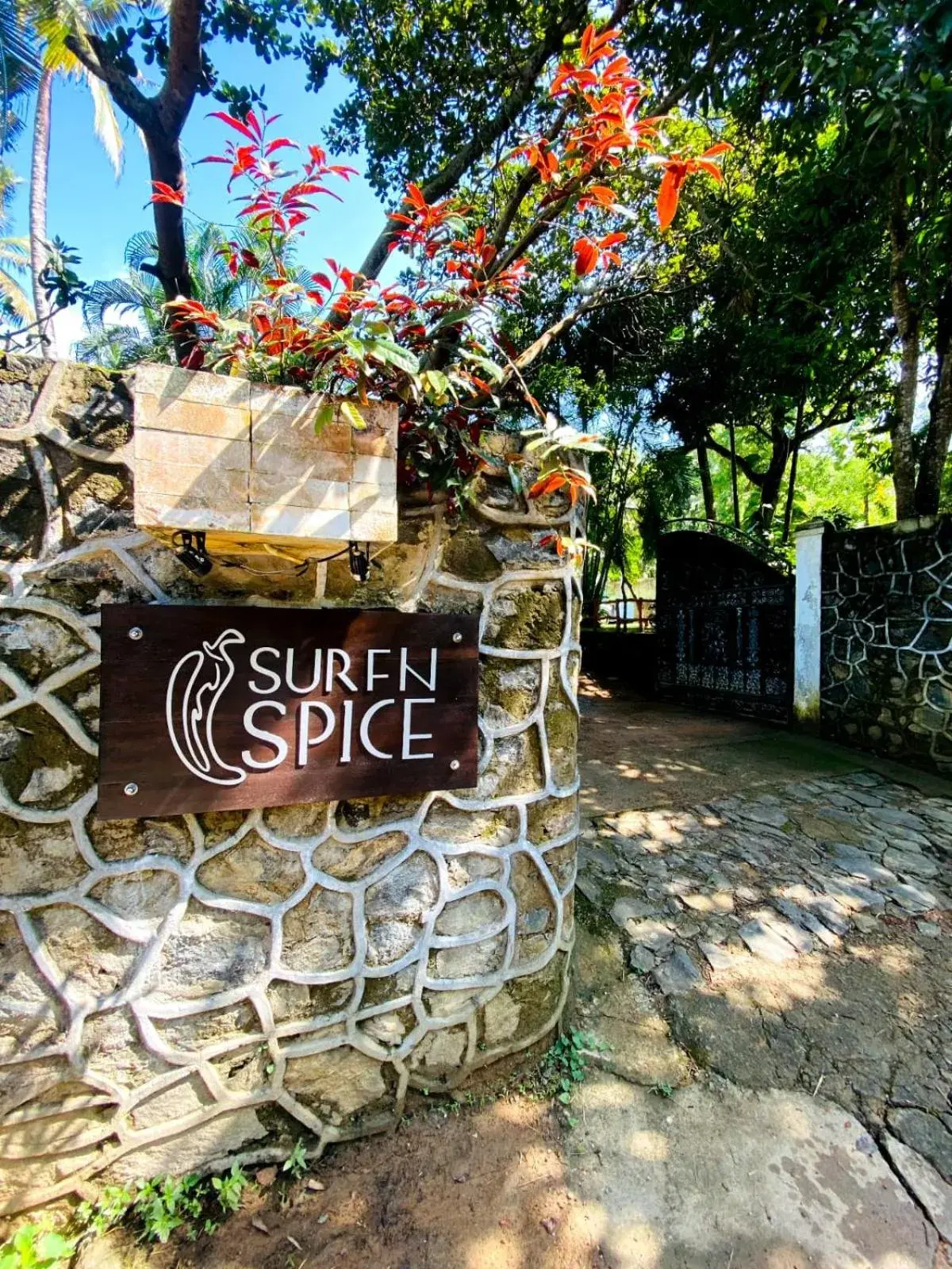 SURF N SPICE - HIRIKETiYA SURF N SPICE - HIRIKETiYA