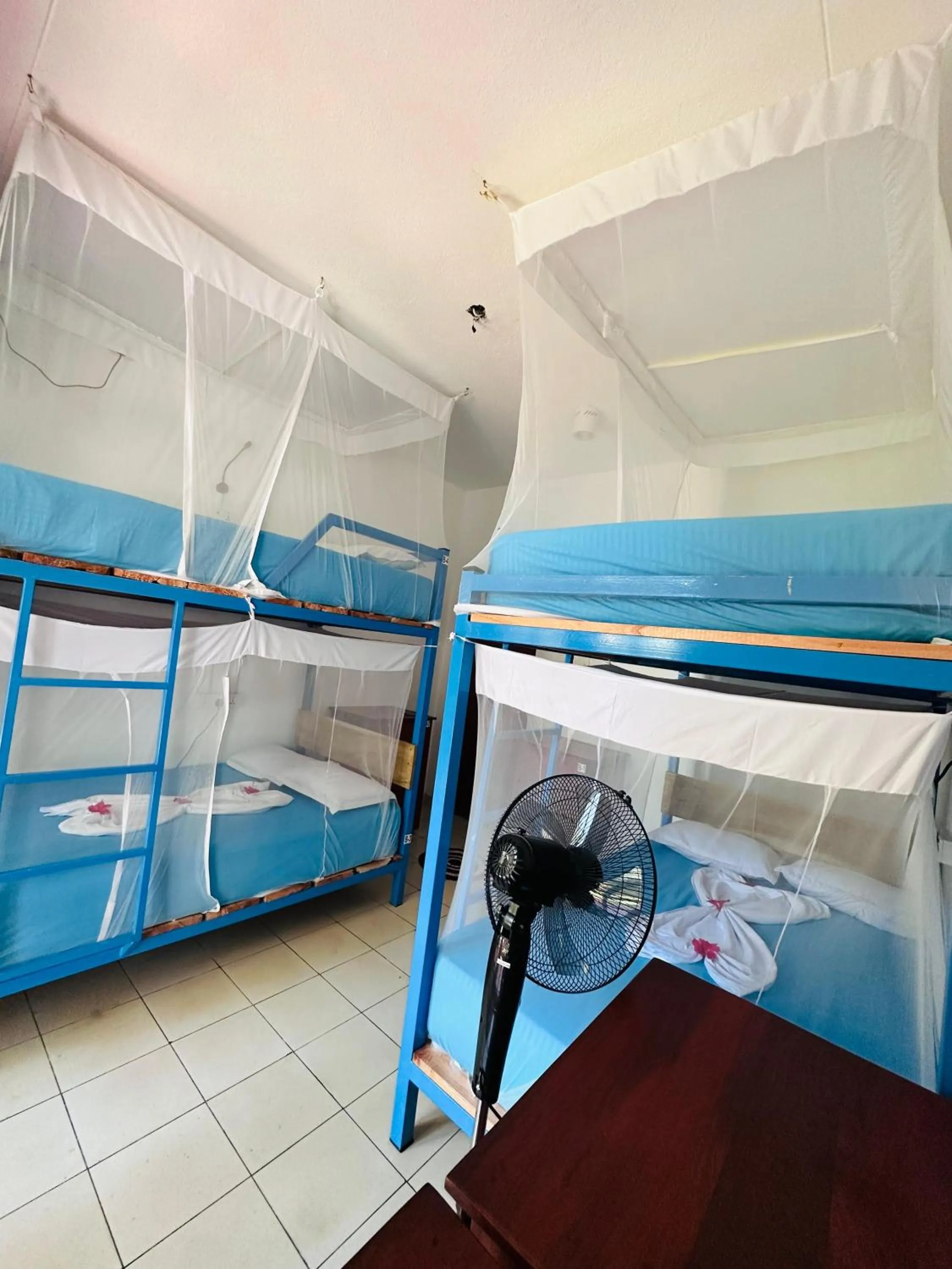 bunk bed, Bed in SURF N SPICE - HIRIKETiYA