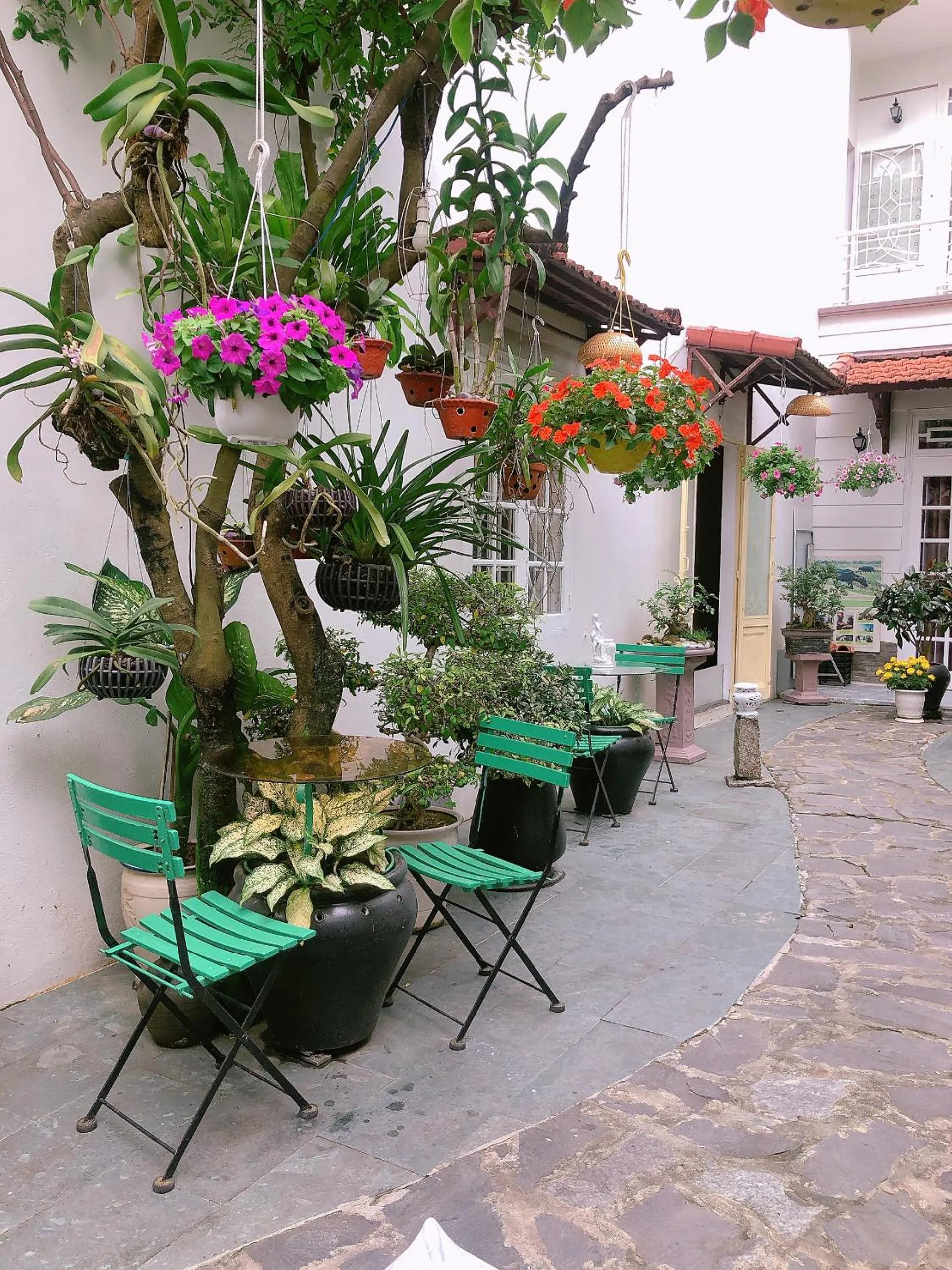 Garden in Green Garden Homestay