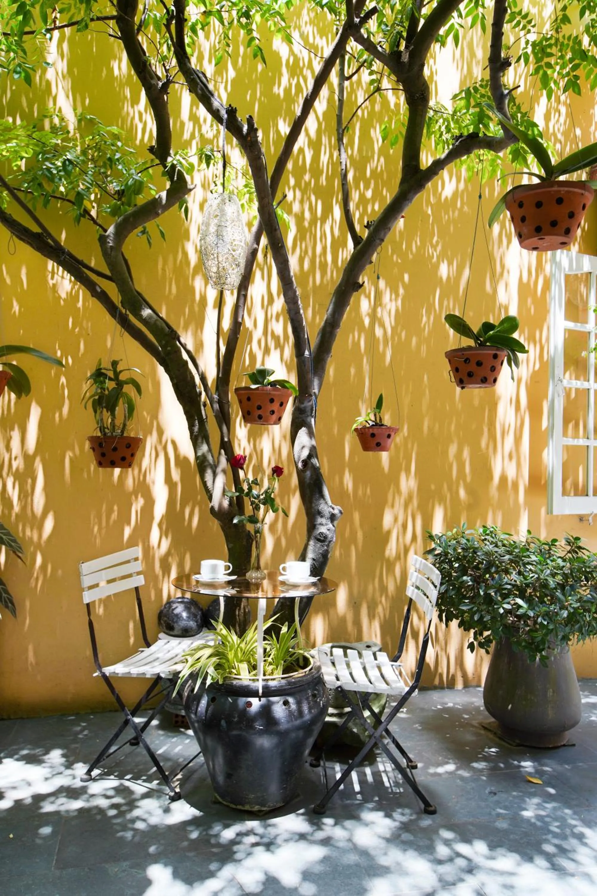 Garden in Green Garden Homestay