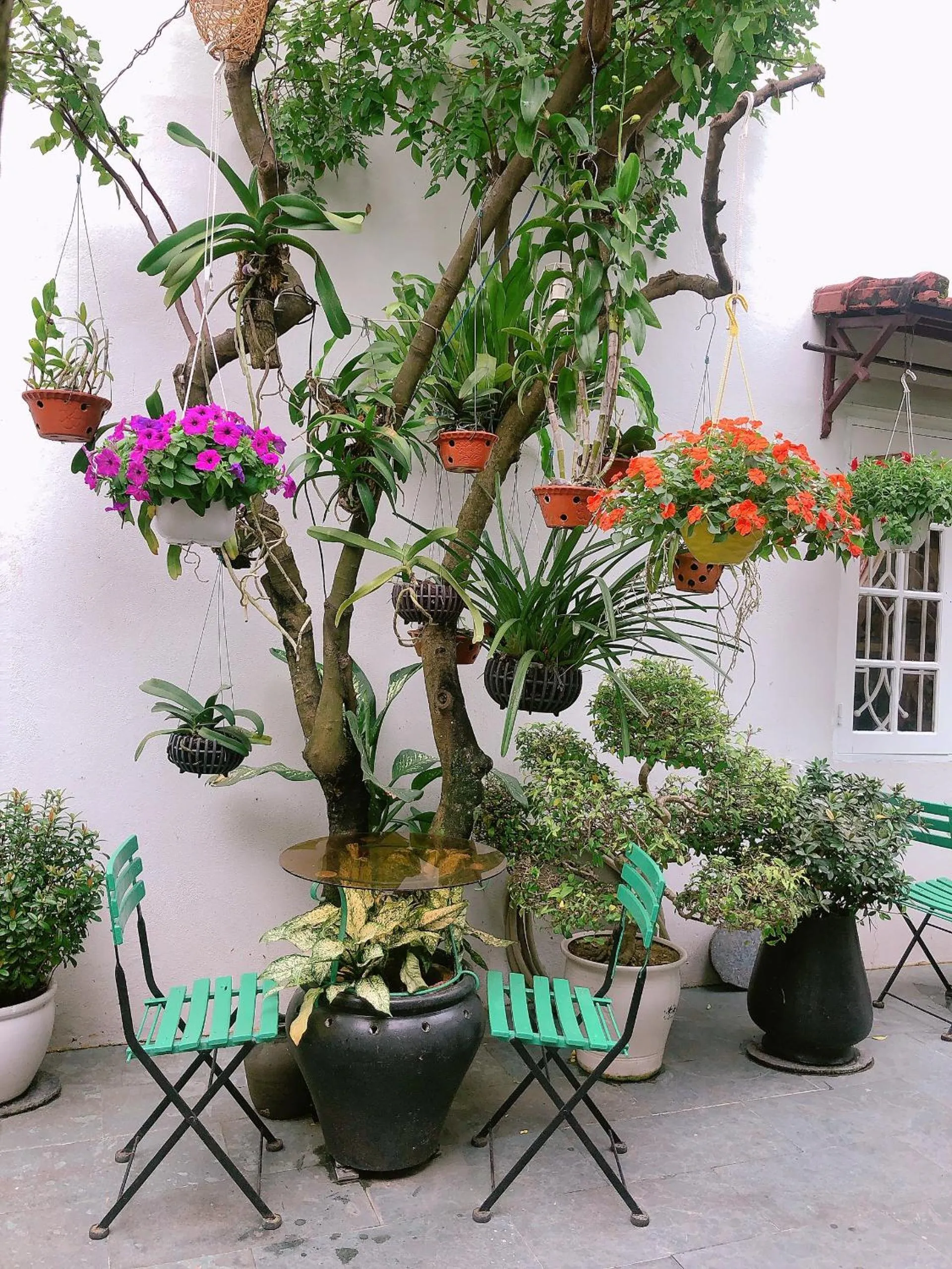 Garden in Green Garden Homestay