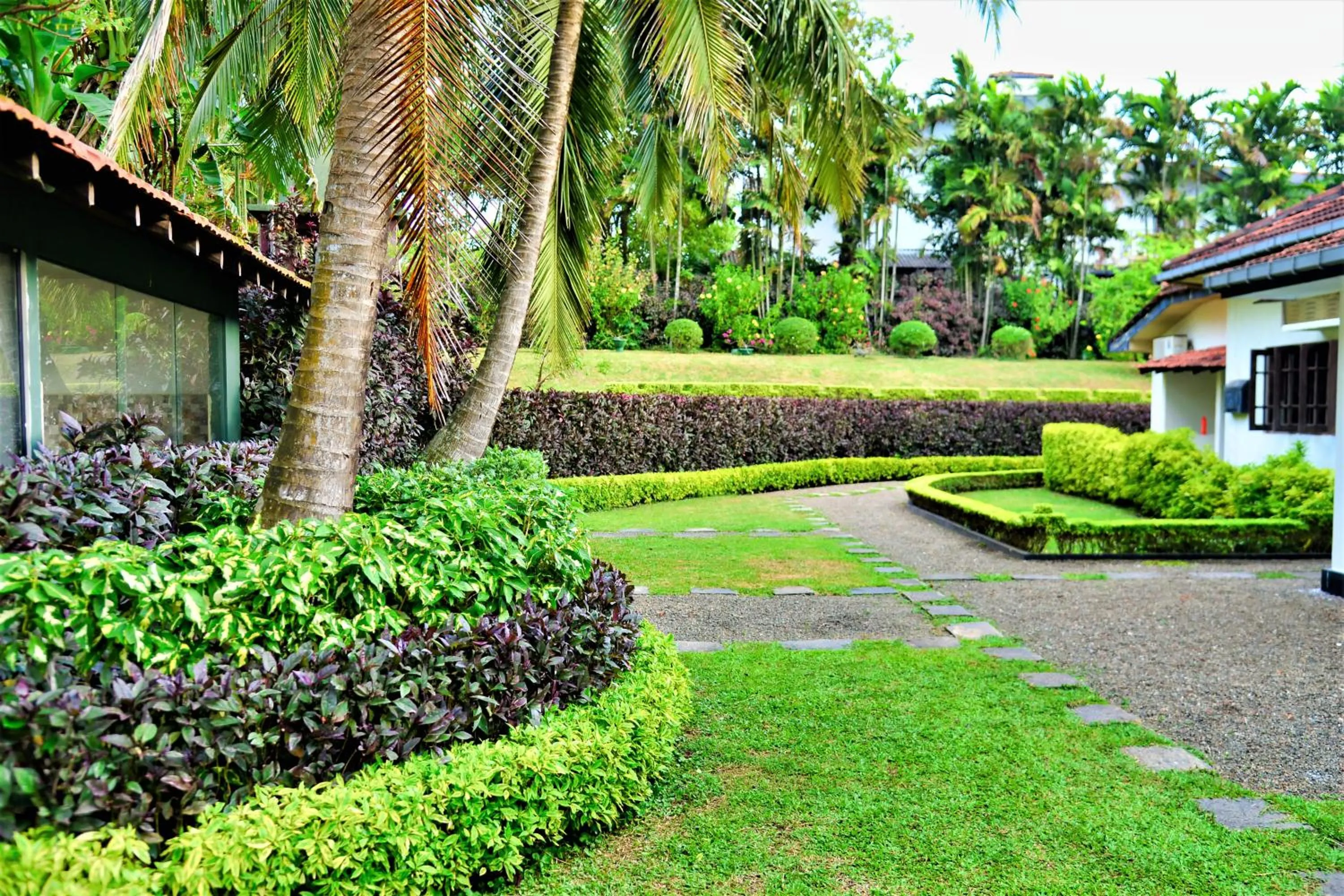 Garden in Camellia Dwelling