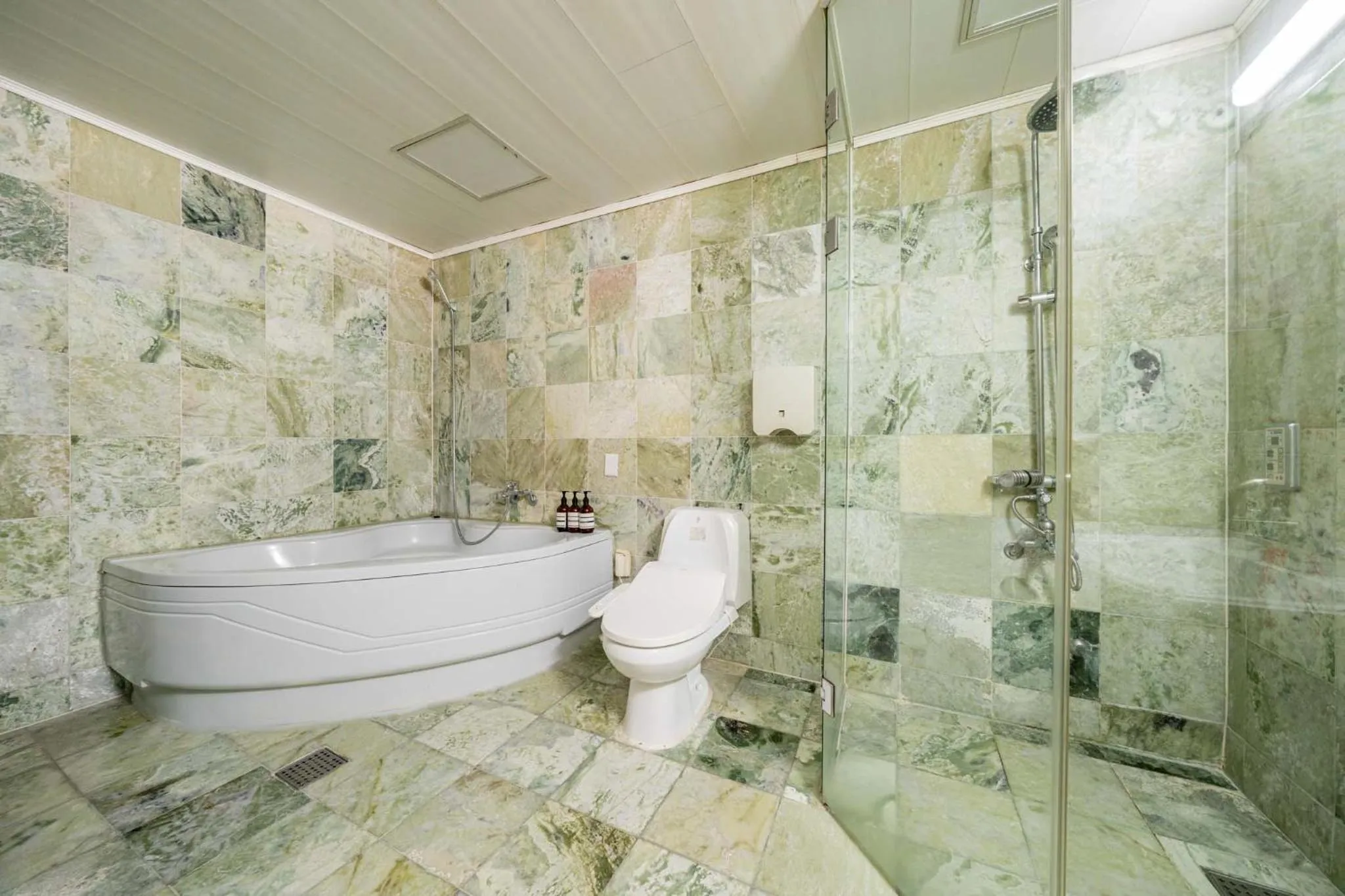 Toilet in incheon Airport Hotel June