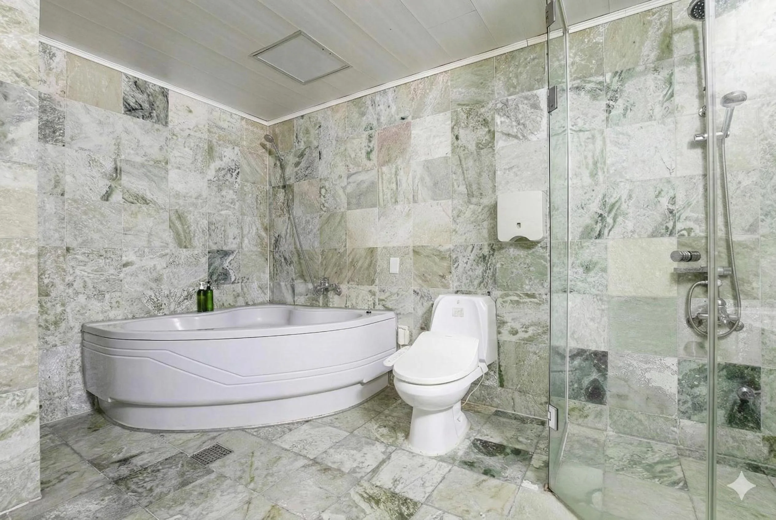 Toilet in incheon Airport Hotel June