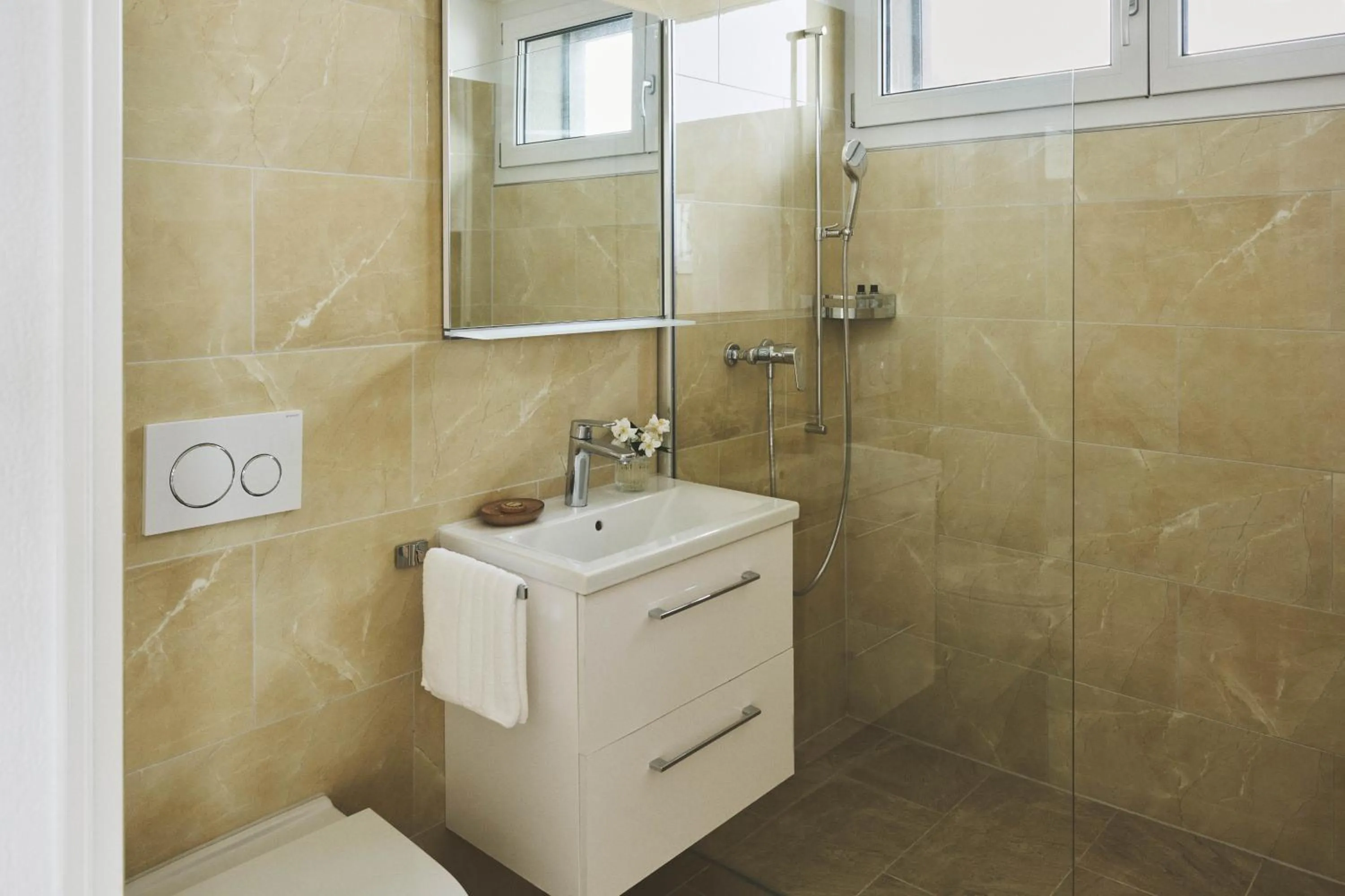 Shower in Belmont Residences lakeview in Horgen Zürich Zug Pfäffikon