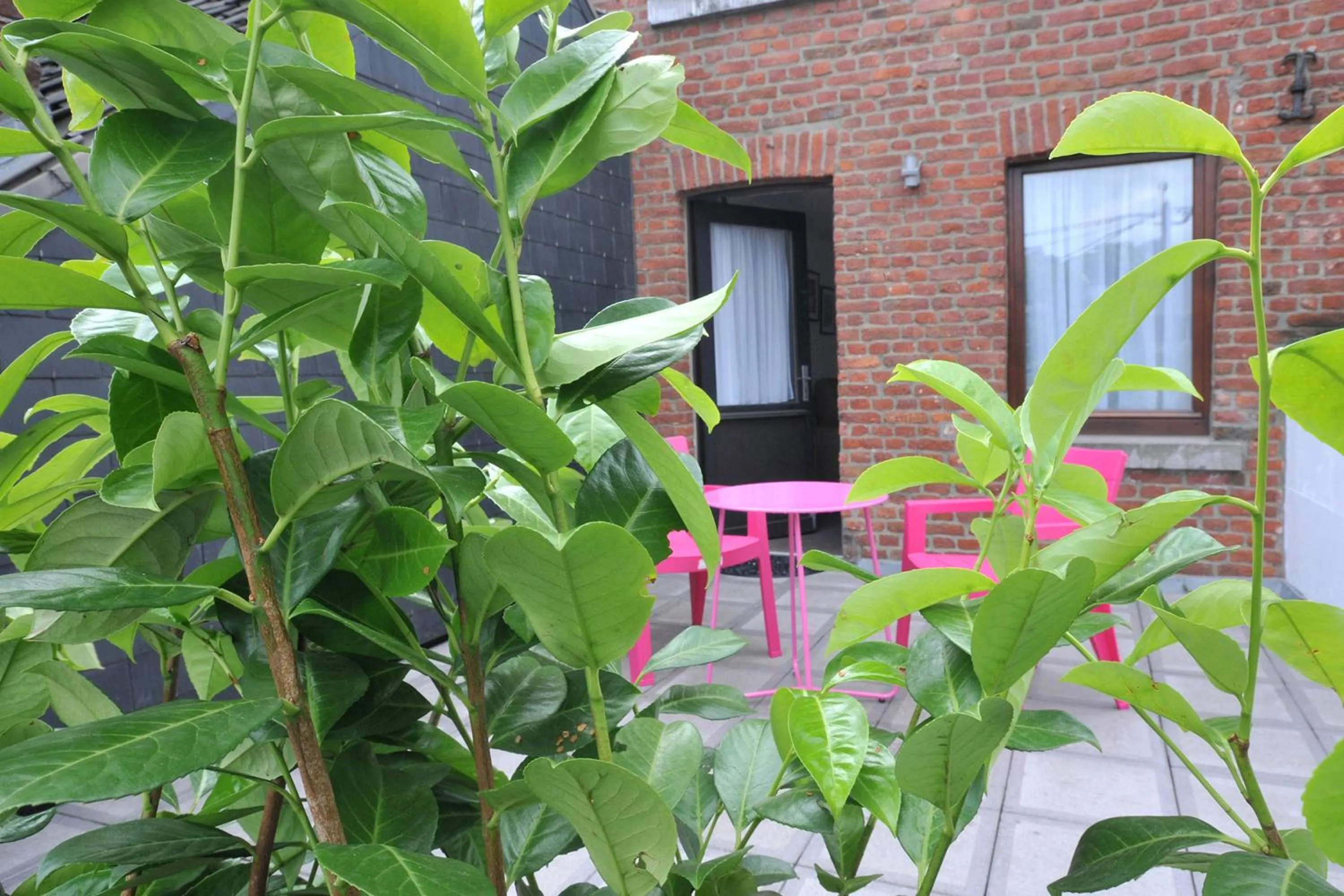 Other in Hôtel du Perron