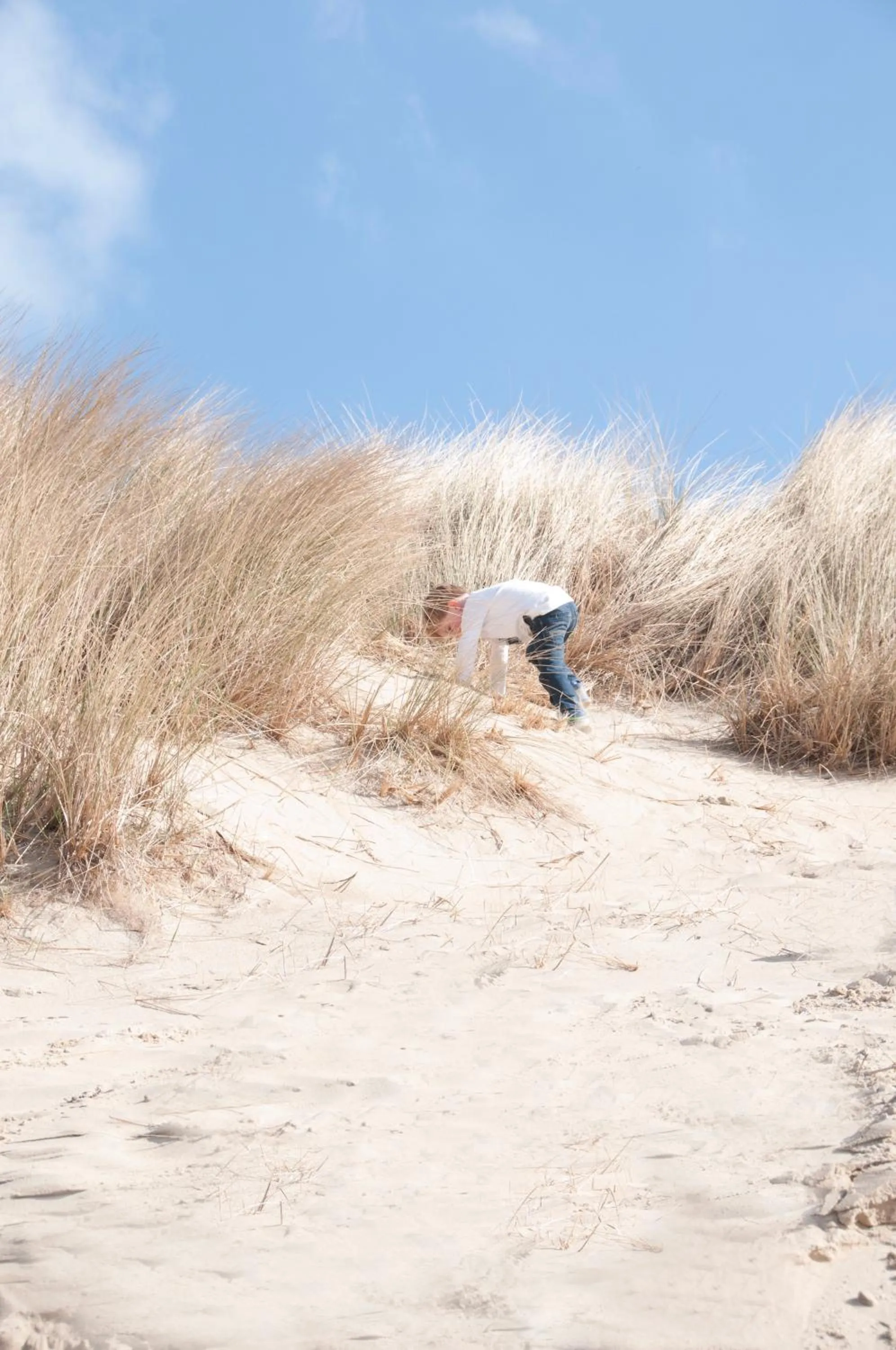 View (from property/room) in Strandhotel Bos en Duin