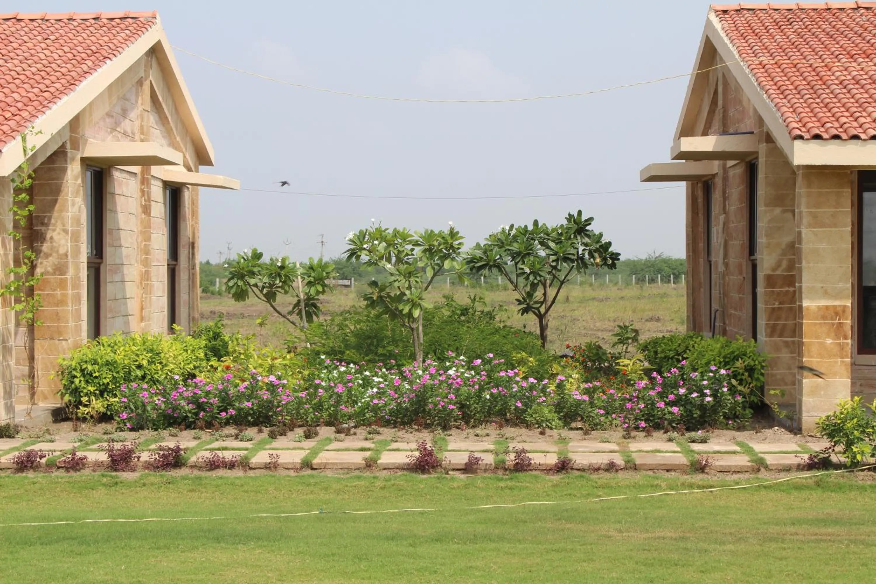 The Blackbuck Trails Velavadar