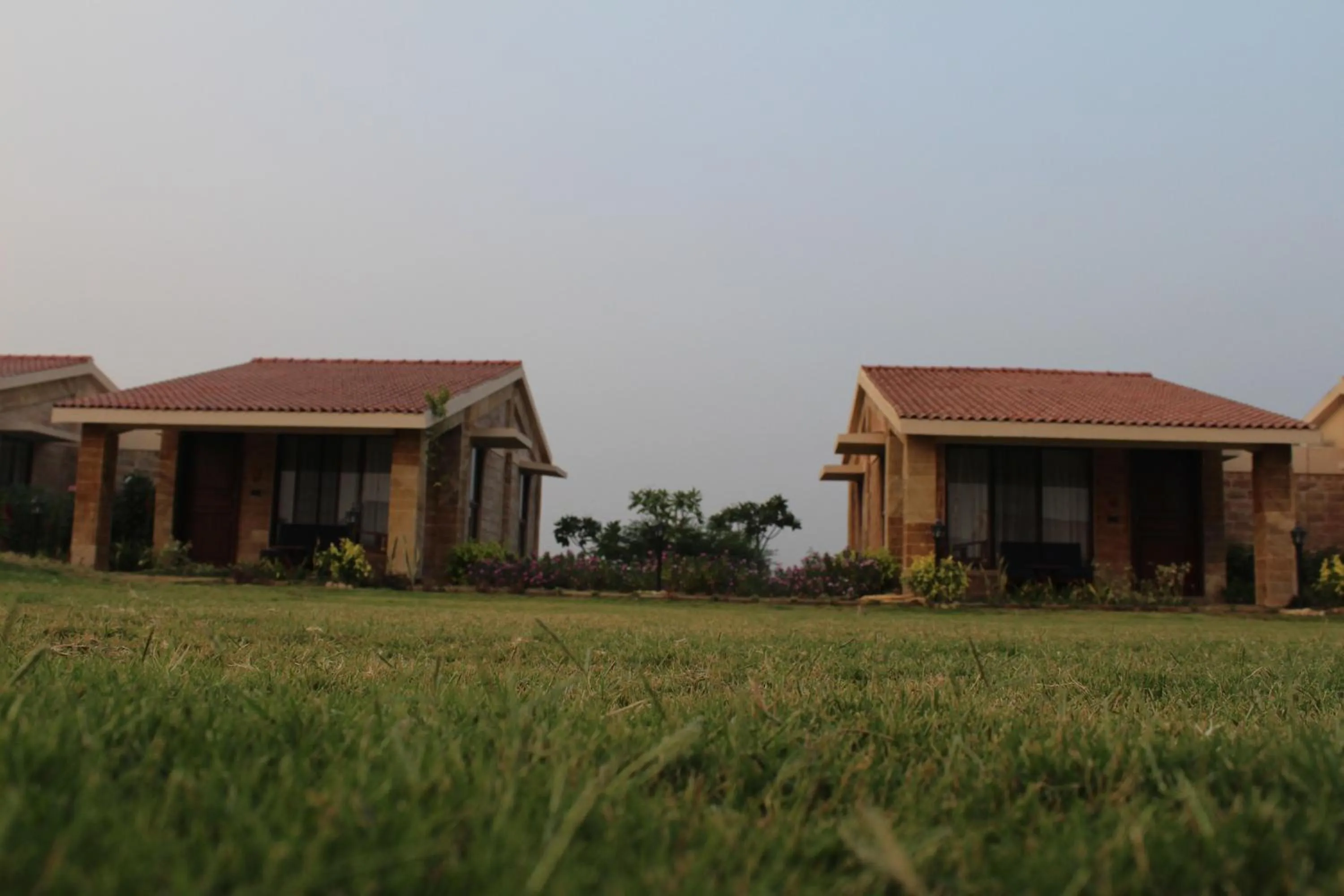 The Blackbuck Trails Velavadar